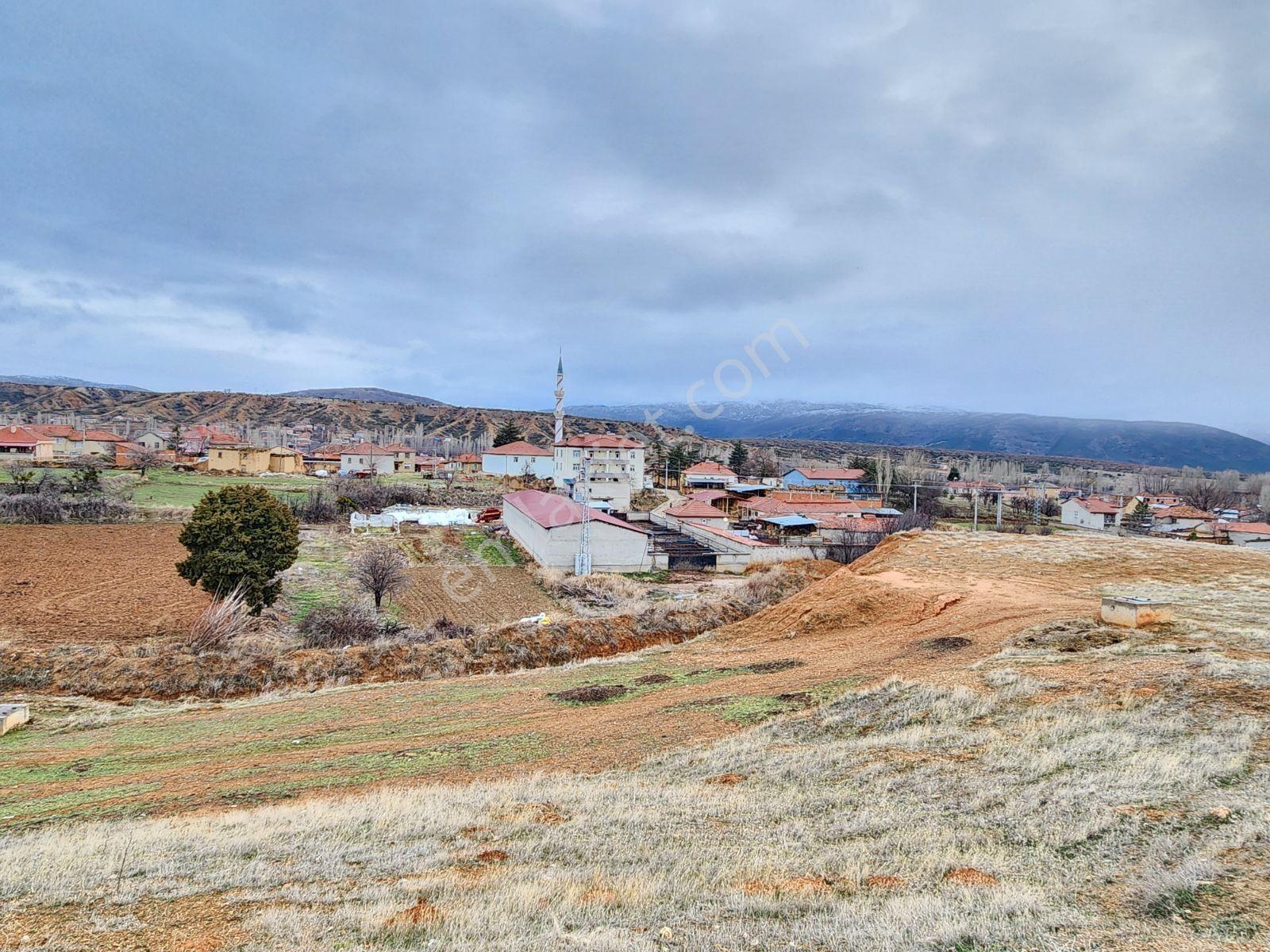 Isparta Şarkıkaraağaç Aşağdinek 973 Köy İçi Elektrik Yol Su Var - Görsel 26