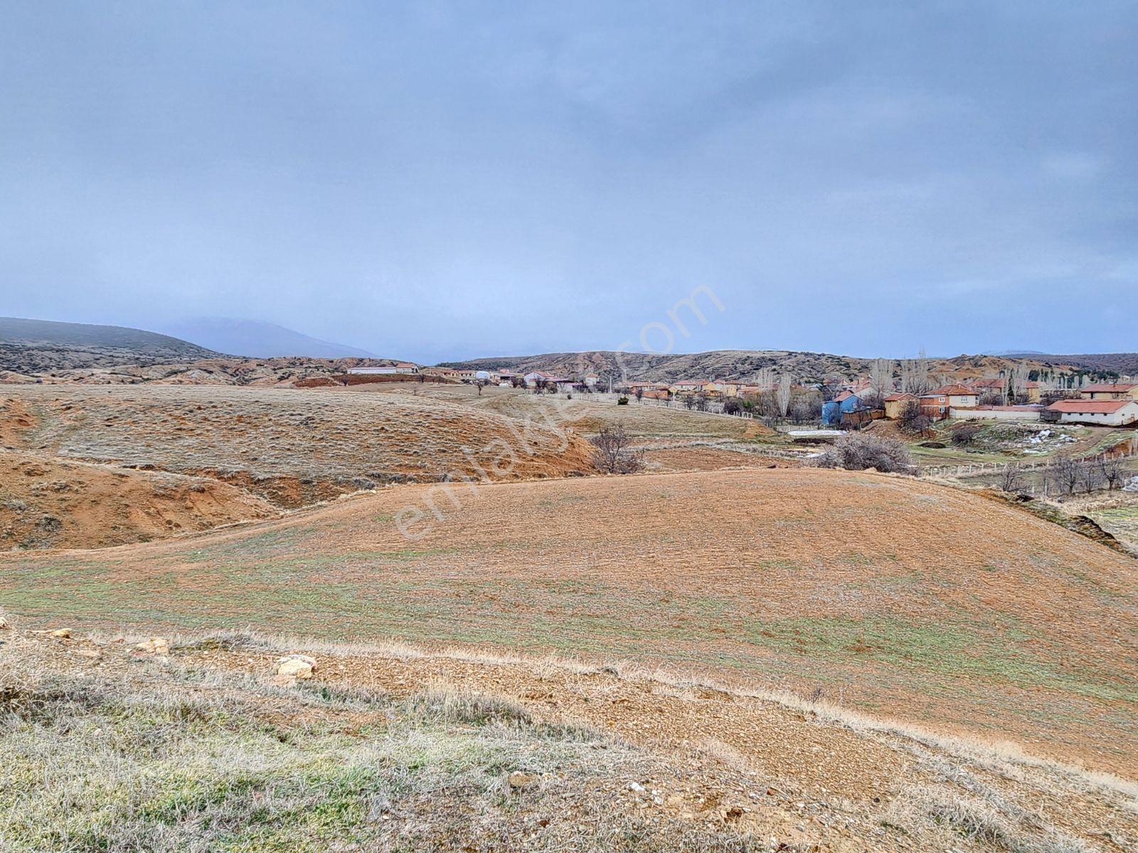 Isparta Şarkıkaraağaç Aşağdinek 973 Köy İçi Elektrik Yol Su Var - Görsel 3