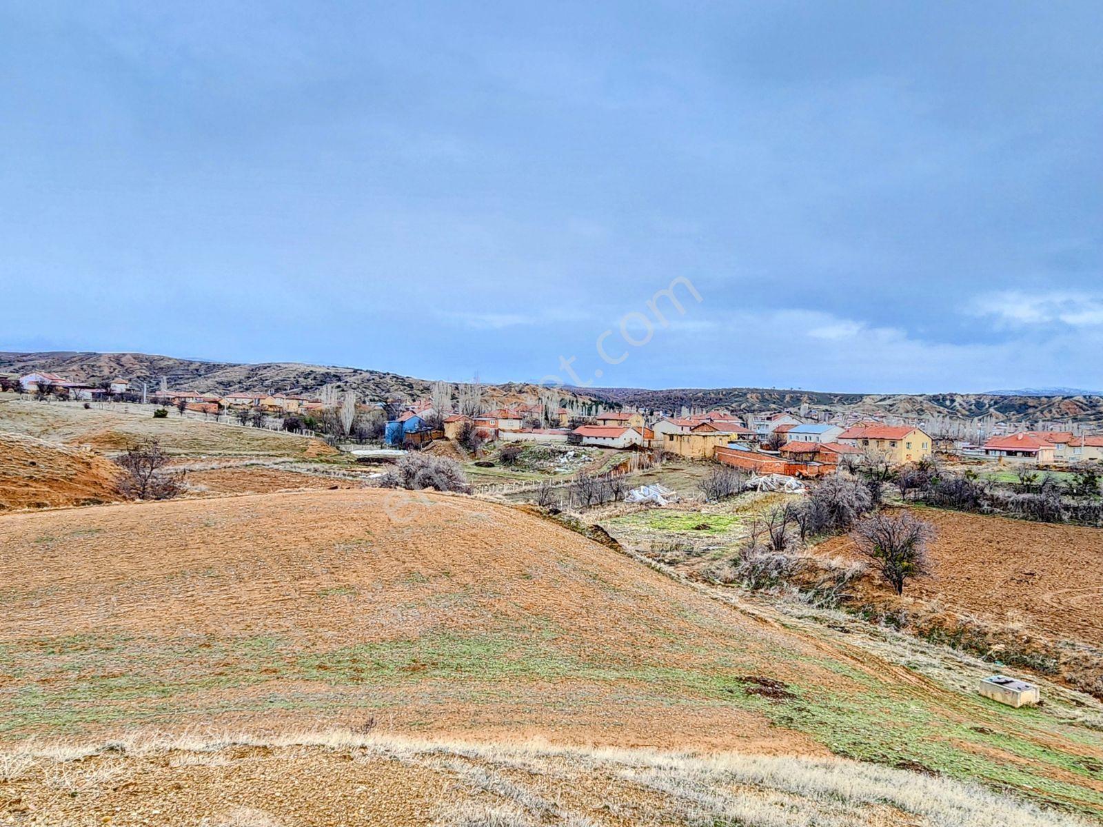 Isparta Şarkıkaraağaç Aşağdinek 973 Köy İçi Elektrik Yol Su Var - Görsel 29
