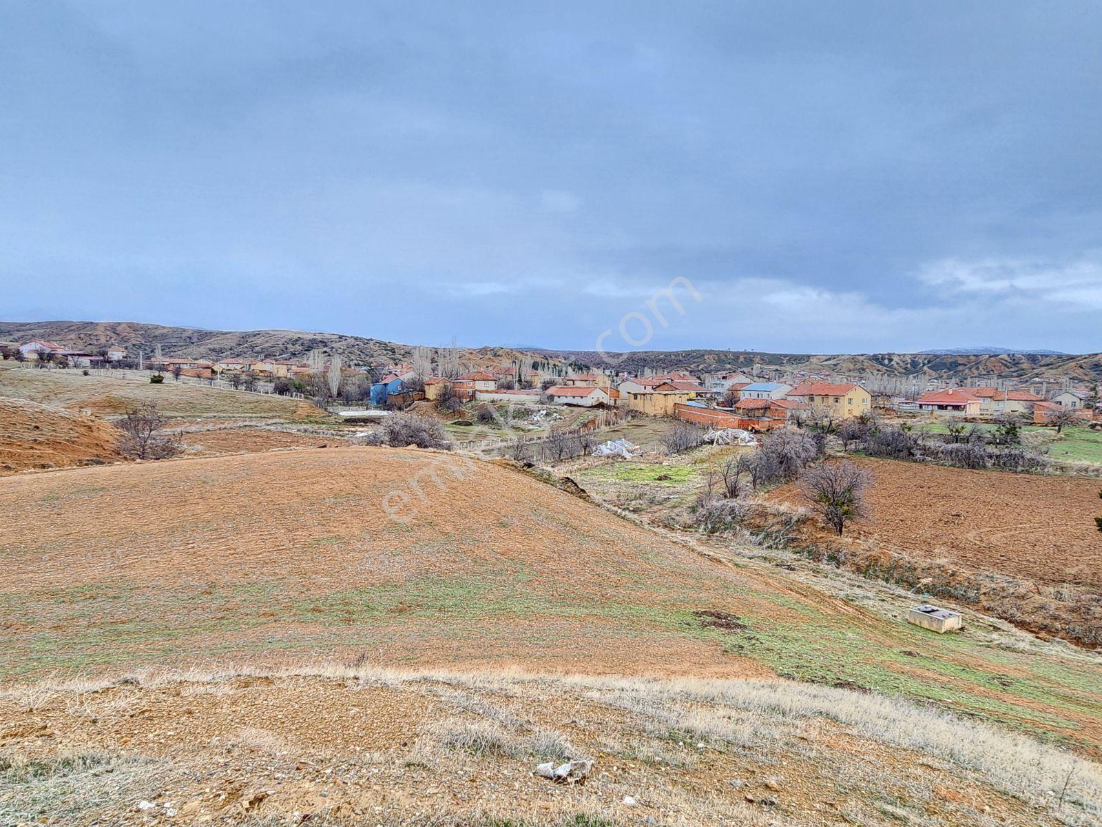 Isparta Şarkıkaraağaç Aşağdinek 973 Köy İçi Elektrik Yol Su Var - Görsel 14