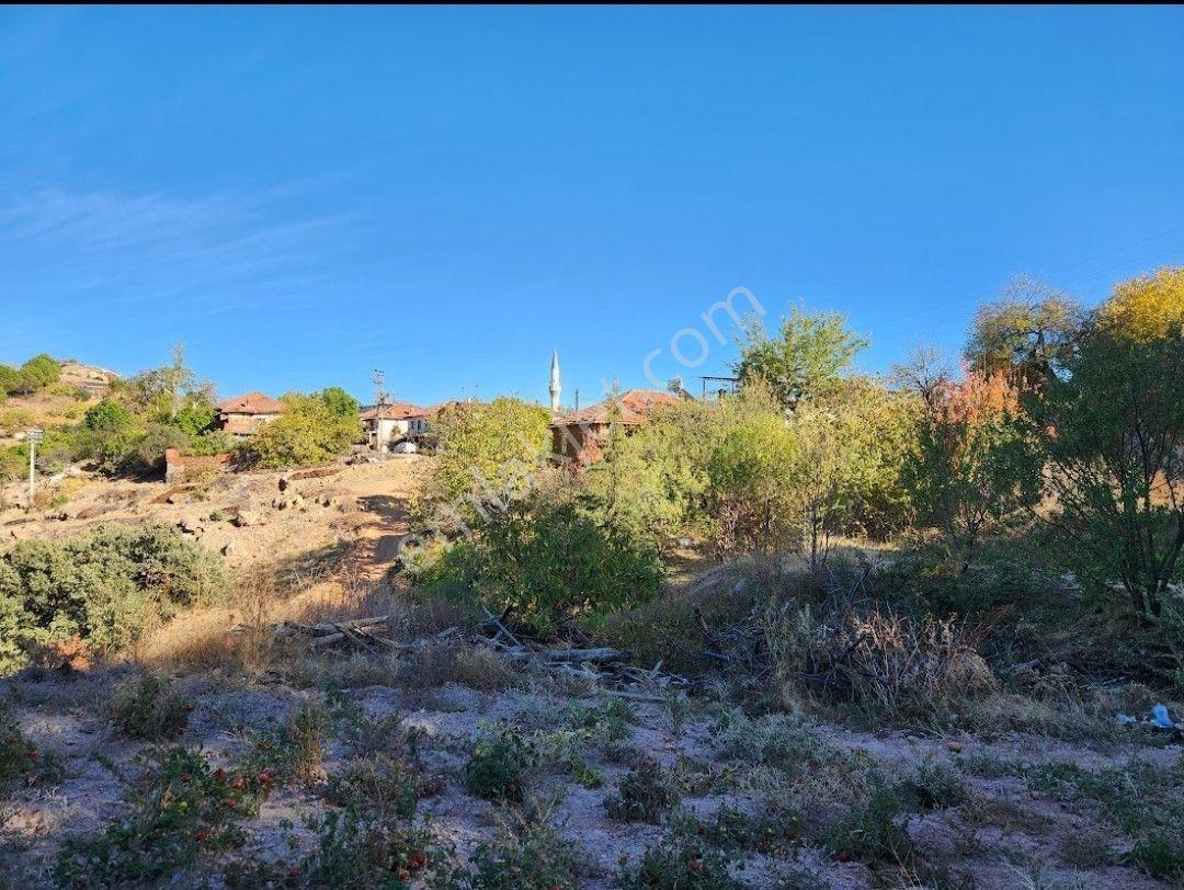 Manisa Demirci Çandır 535 M2 Konut İmarli Arsa Hemen İnşaat Yap - Görsel 8