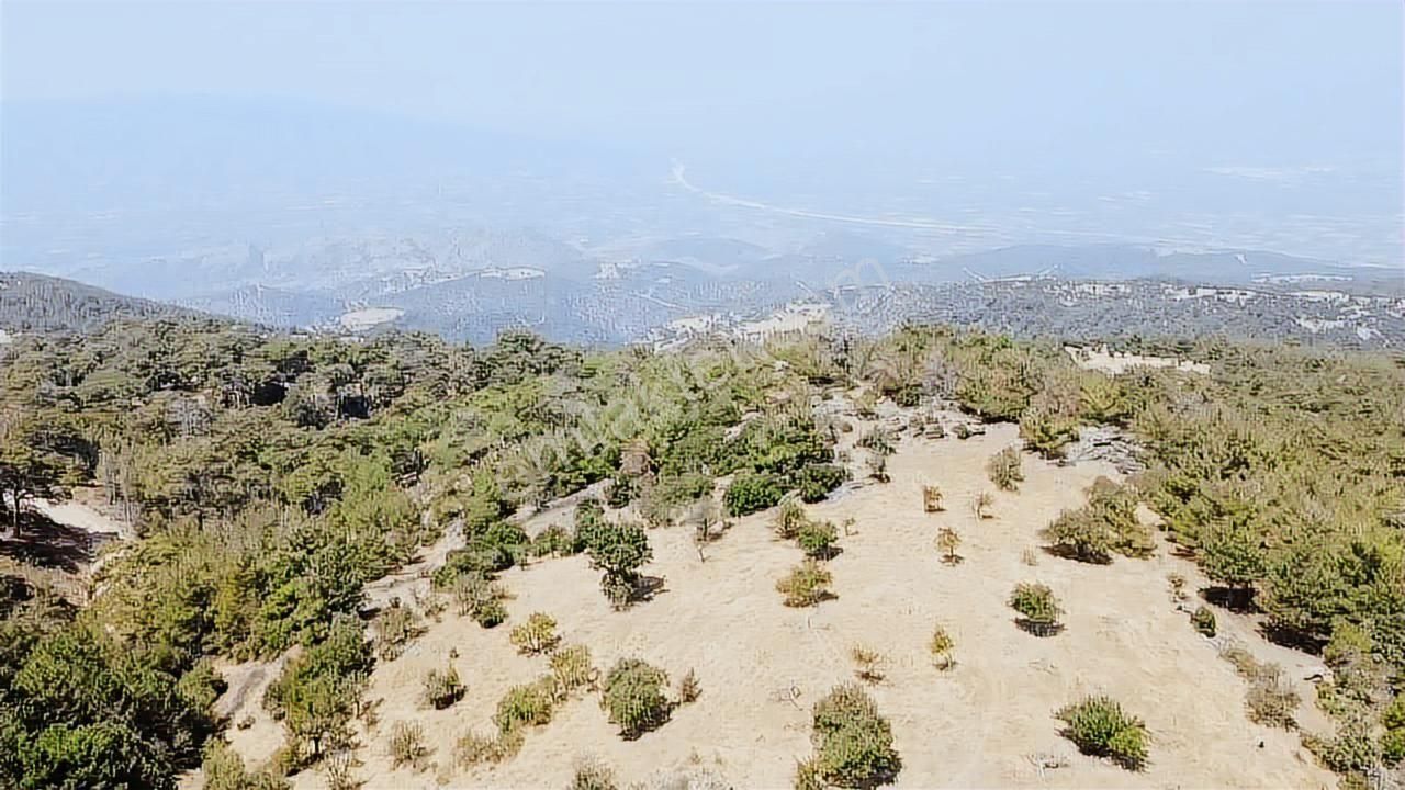 Aydın Nazilli Uzunçam Mah. 16.868 M2 Meyve Bahçesi Suyu Vardır - Görsel 22