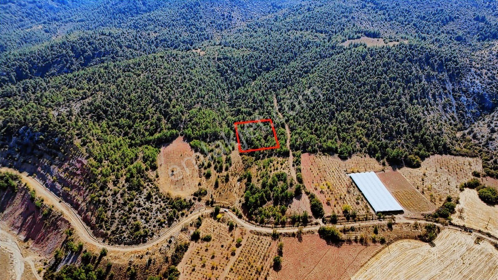 Bilecik Söğüt Geçitli Mah. 1012 M2 Meyve Bahçesi Yanı Yolu Var - Görsel 2