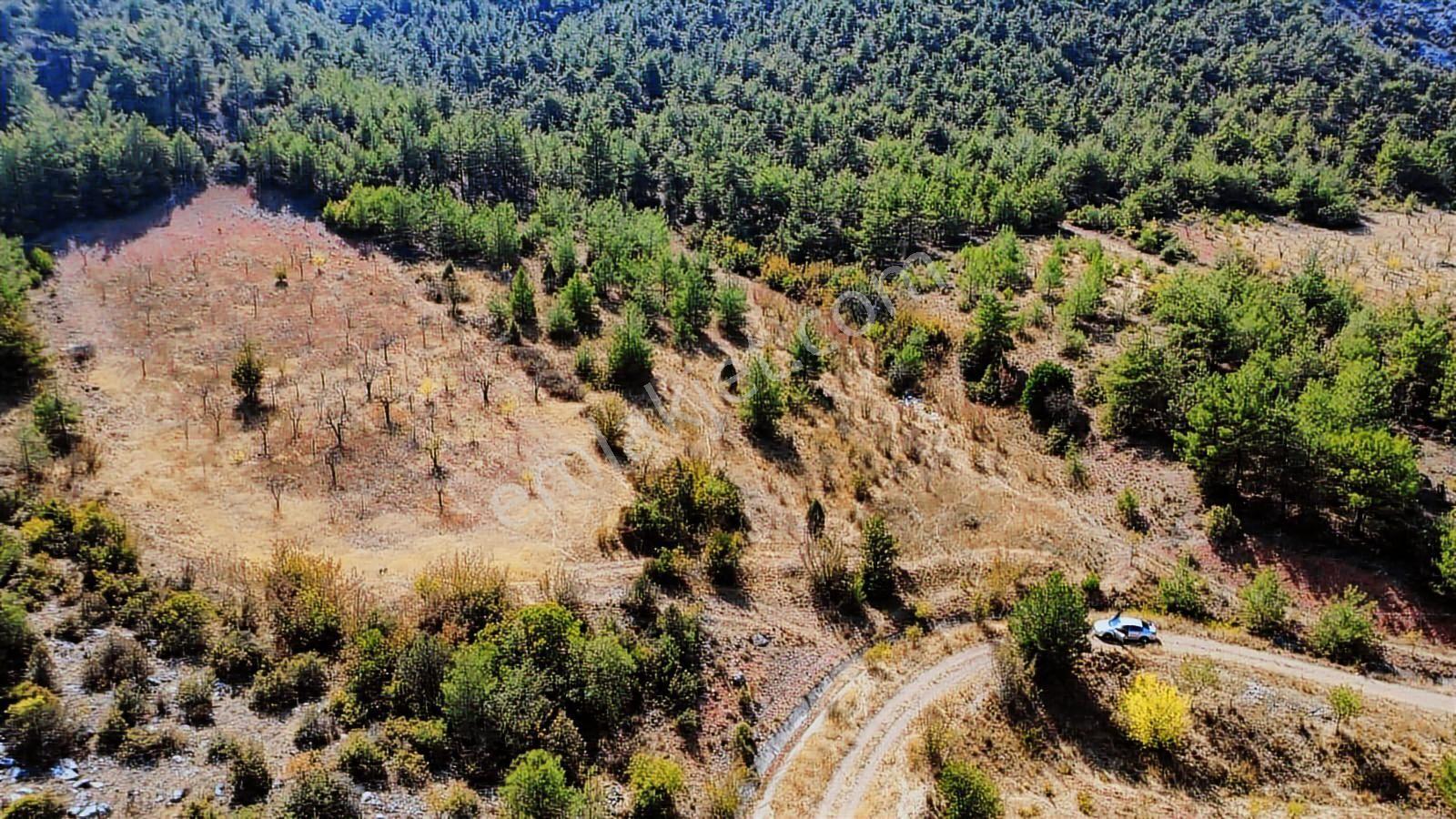 Bilecik Söğüt Geçitli Mah. 1012 M2 Meyve Bahçesi Yanı Yolu Var - Görsel 24