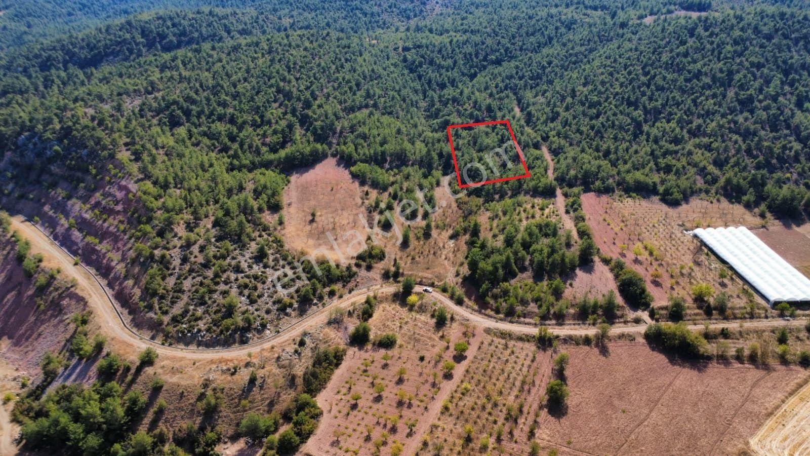 Bilecik Söğüt Geçitli Mah. 1012 M2 Meyve Bahçesi Yanı Yolu Var