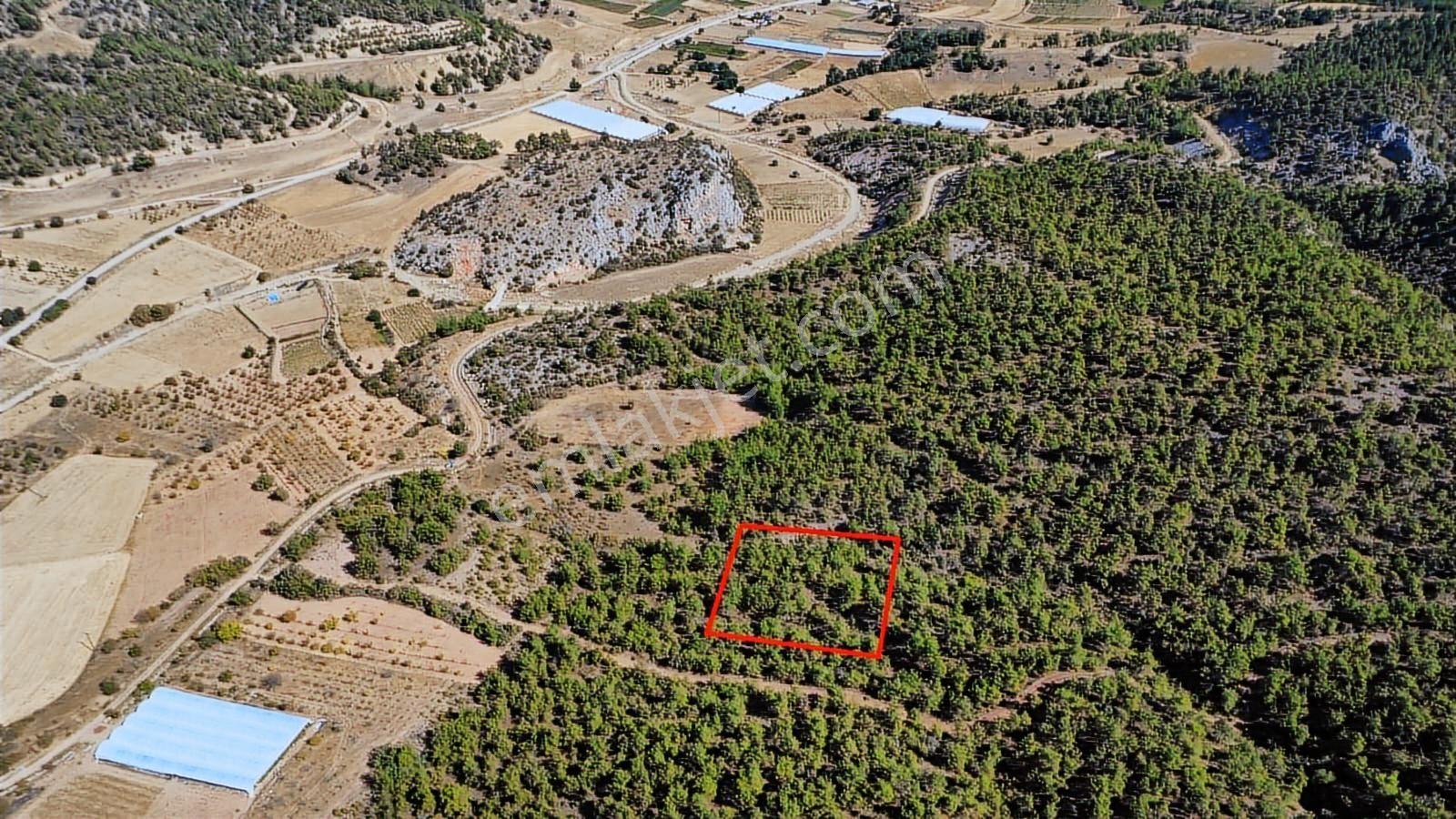 Bilecik Söğüt Geçitli Mah. 1012 M2 Meyve Bahçesi Yanı Yolu Var - Görsel 26