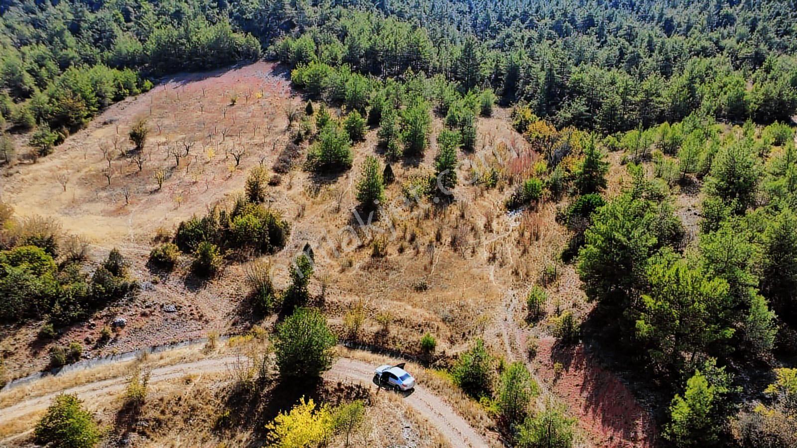 Bilecik Söğüt Geçitli Mah. 1012 M2 Meyve Bahçesi Yanı Yolu Var - Görsel 17