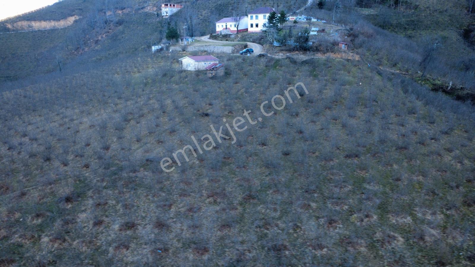 Ordu Gölköy'de Satılık Arazi - Görsel 21