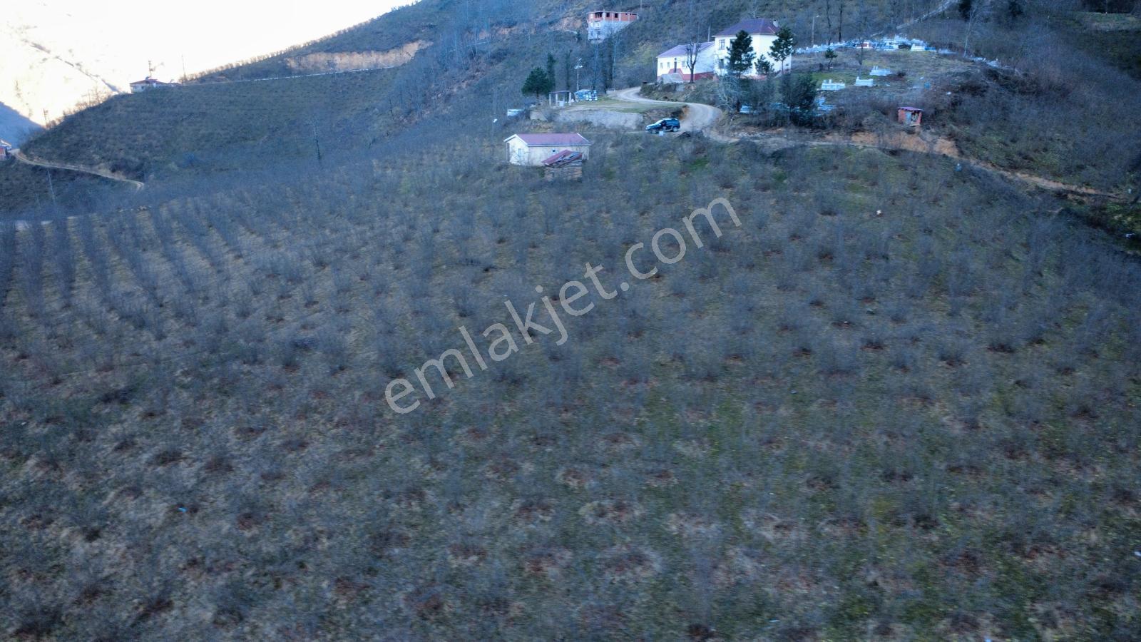 Ordu Gölköy'de Satılık Arazi - Görsel 23