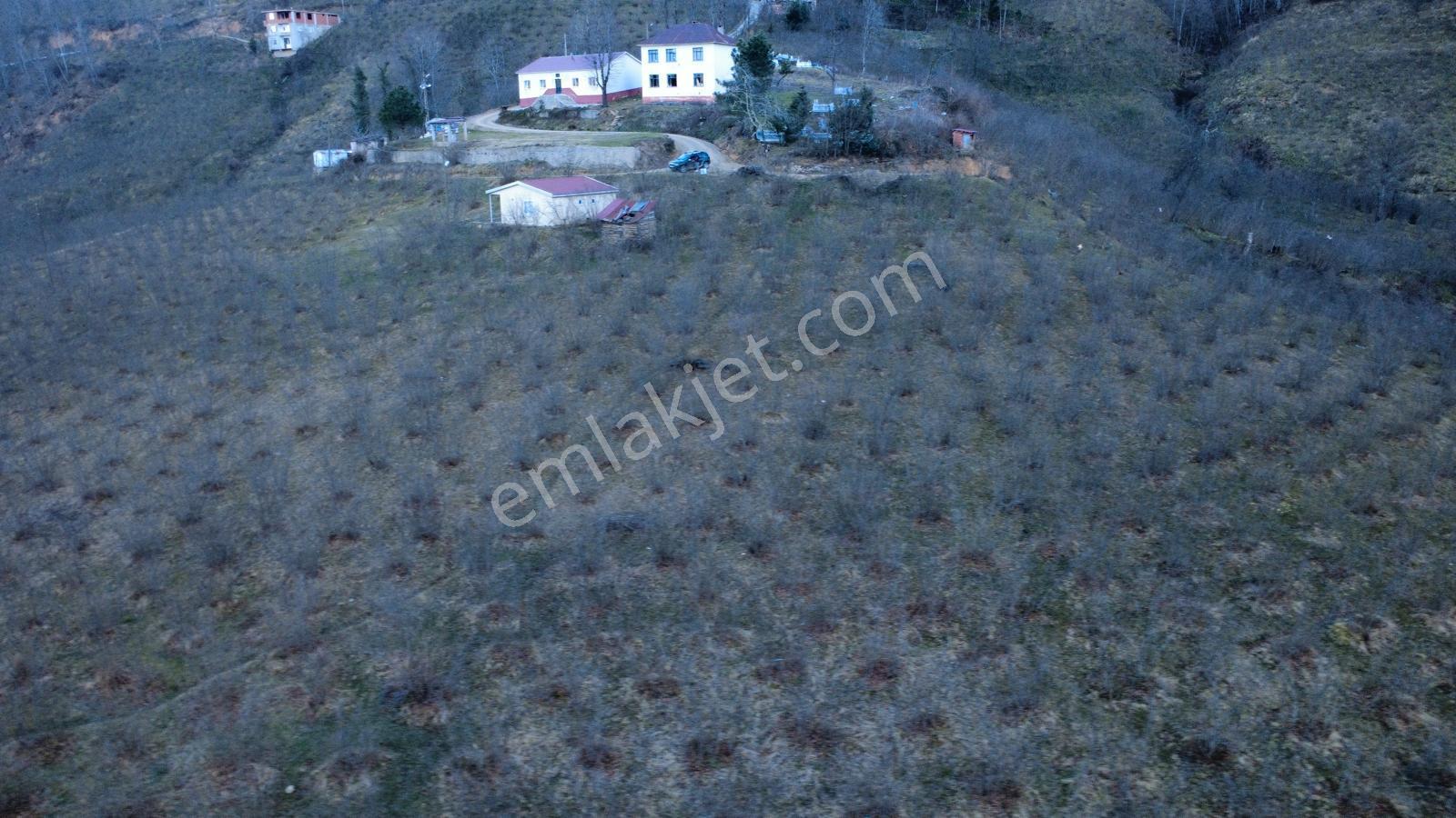 Ordu Gölköy'de Satılık Arazi - Görsel 3