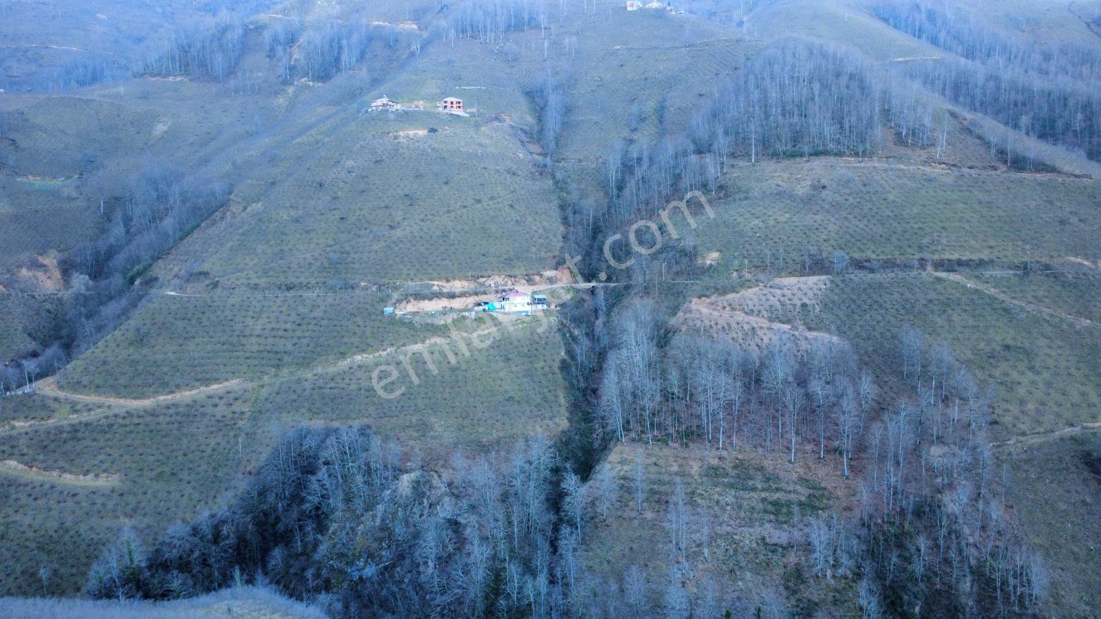 Ordu Gölköy'de Satılık Arazi - Görsel 27