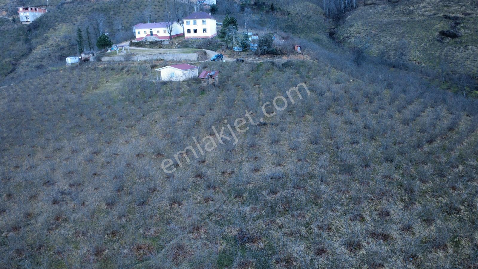Ordu Gölköy'de Satılık Arazi