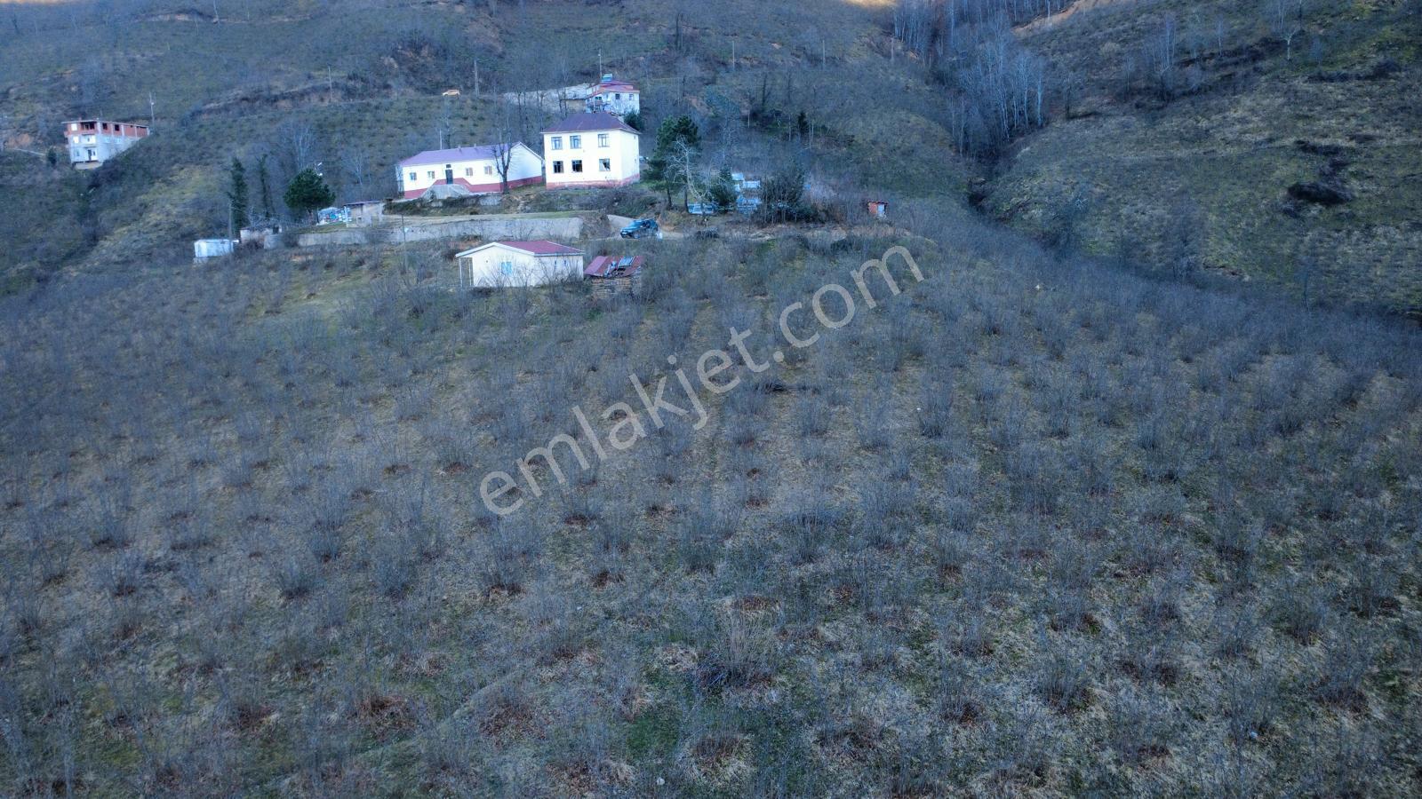 Ordu Gölköy'de Satılık Arazi - Görsel 17