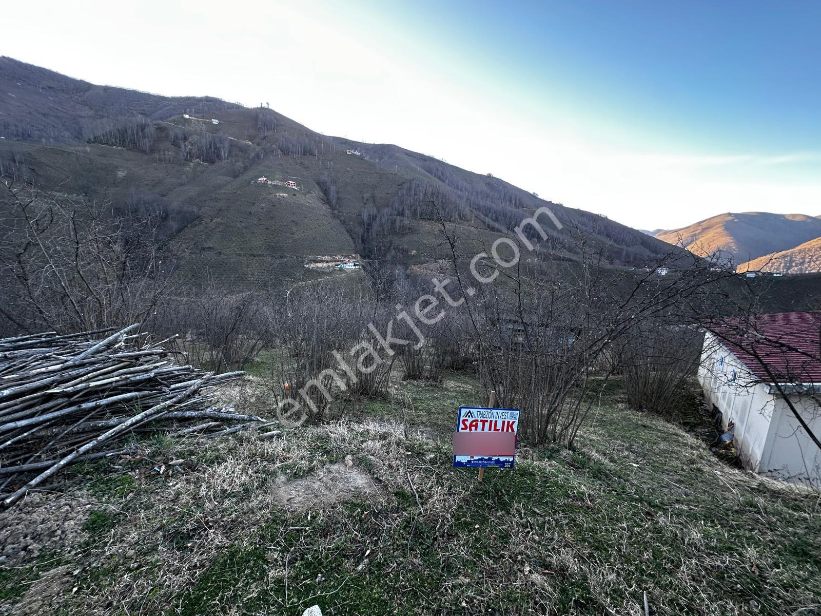Ordu Gölköy'de Satılık Arazi - Görsel 4
