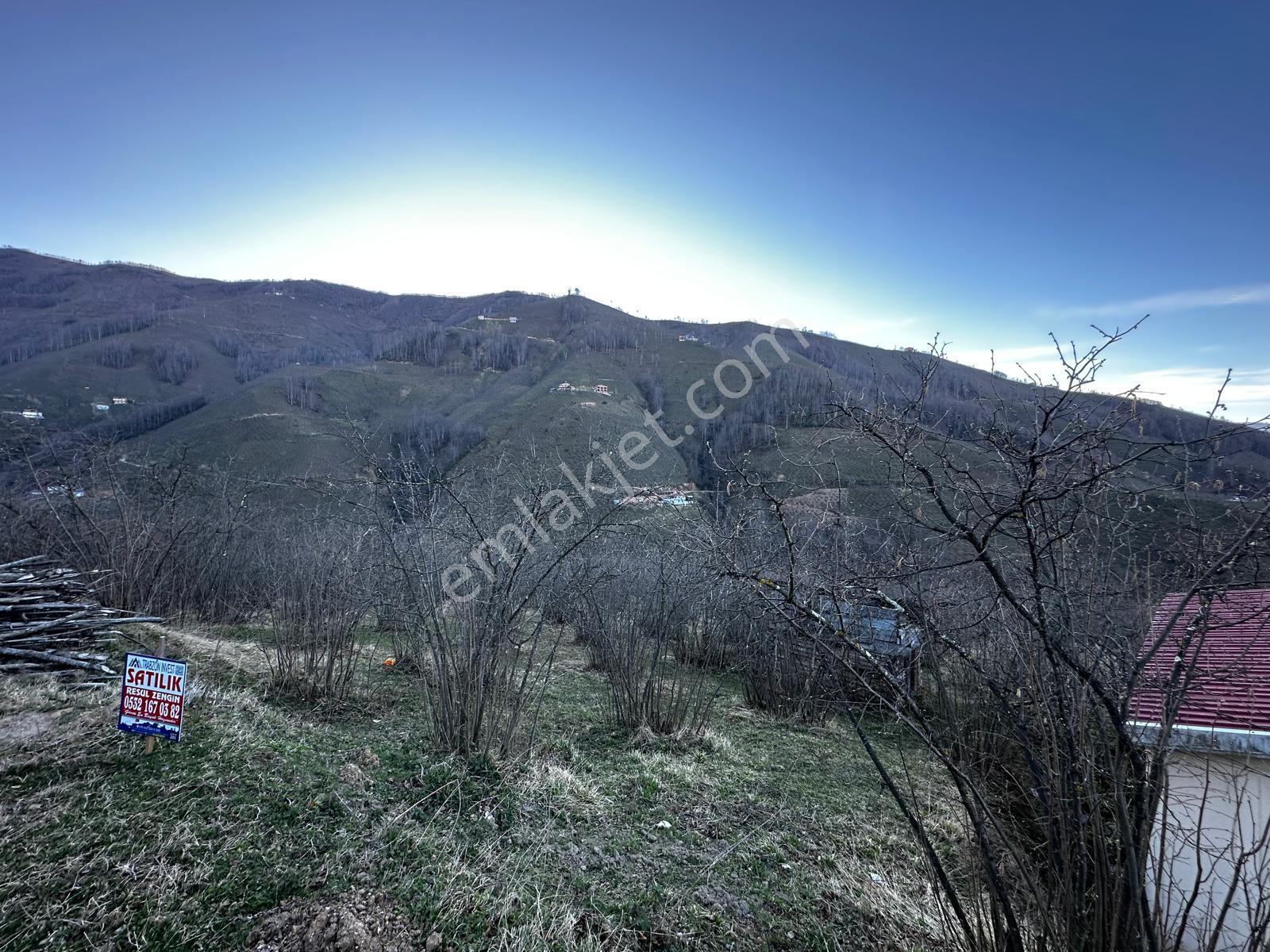 Ordu Gölköy'de Satılık Arazi - Görsel 15