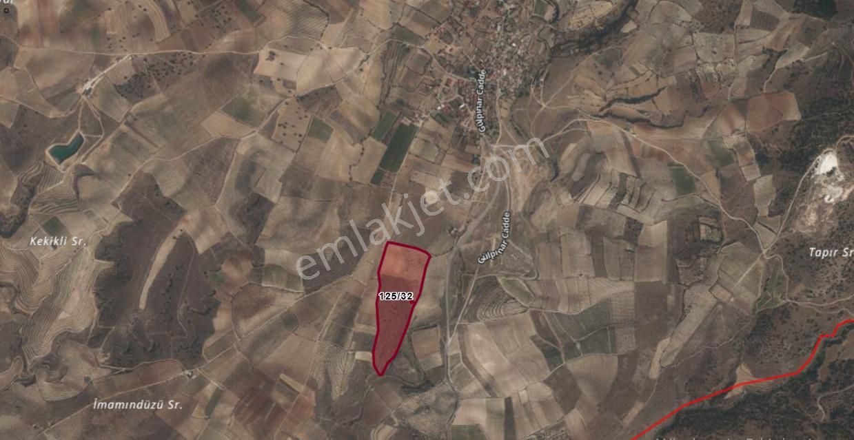 Gülpınar'da 30 Dönümü Zeytinlik 79.093 M2 Satılık Tarla - Görsel 2