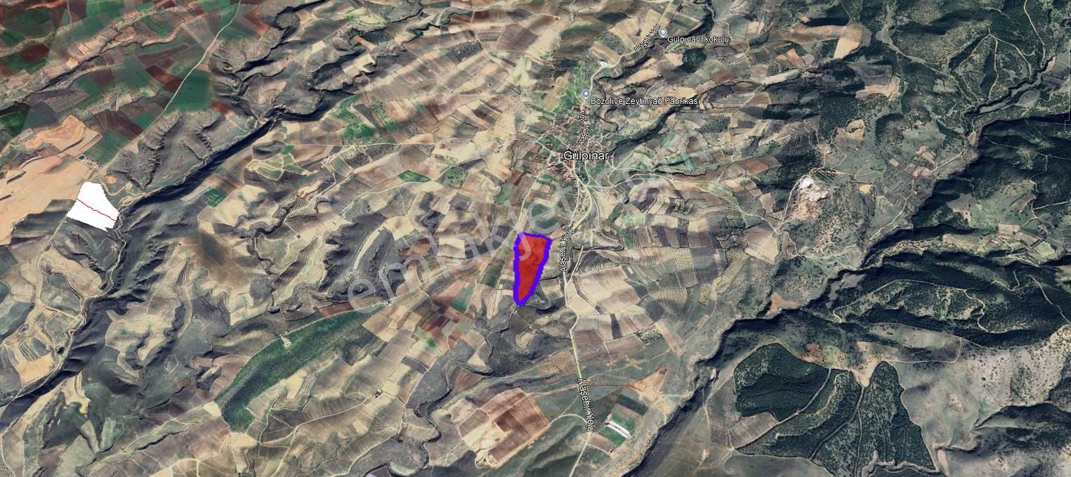 Gülpınar'da 30 Dönümü Zeytinlik 79.093 M2 Satılık Tarla - Görsel 5