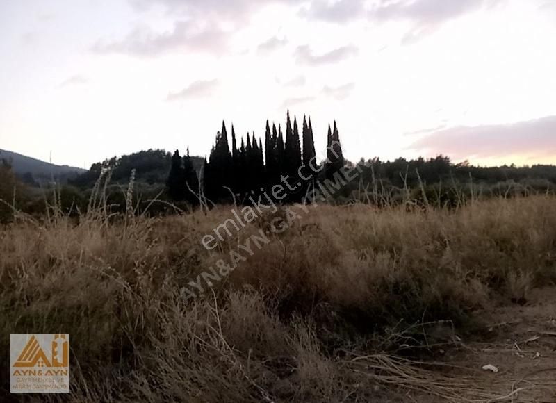 Kemalpaşa Ören'de Satılık 3 Katta İmarlı Arsa.