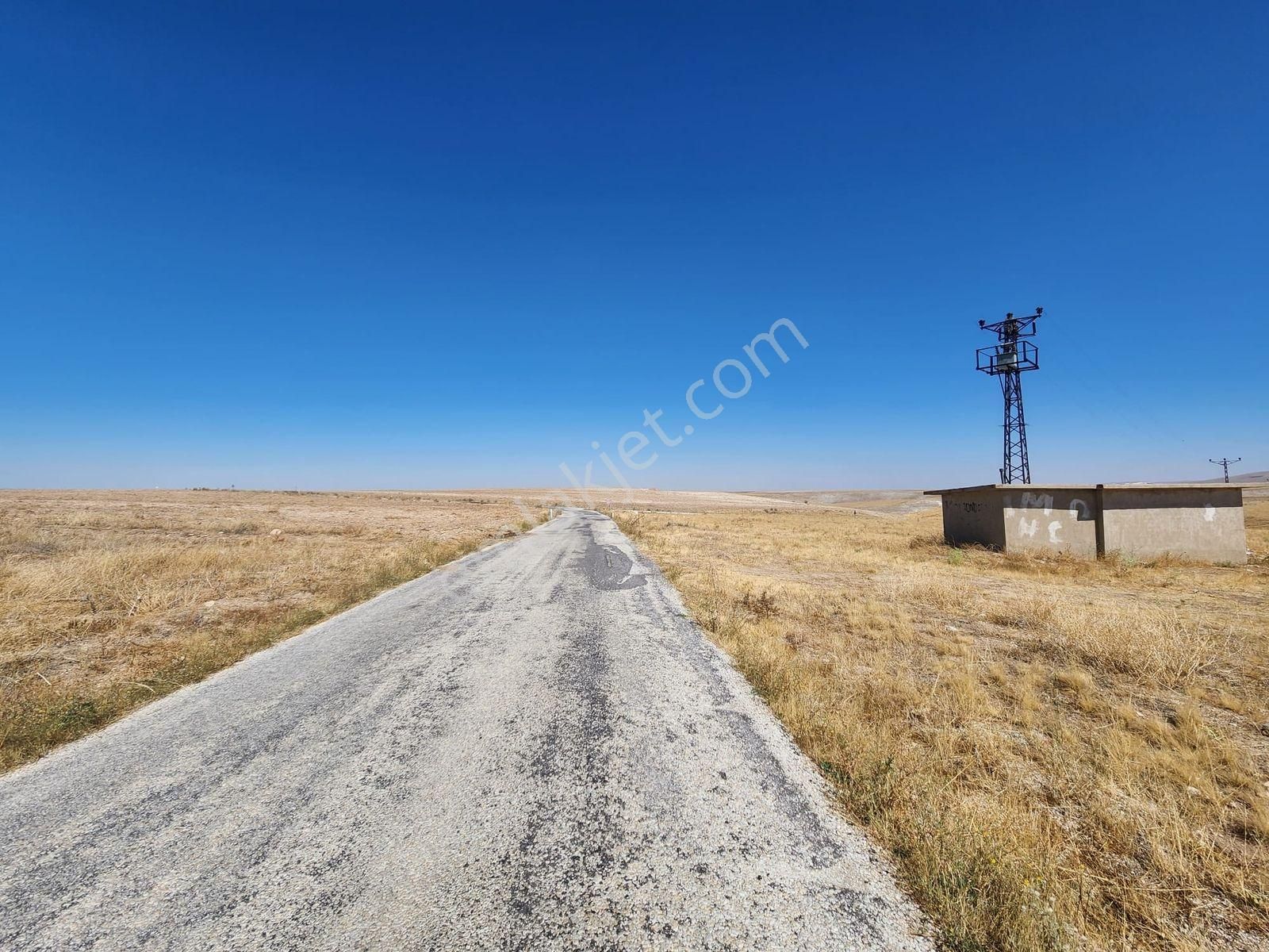 Konya Çeltik 6026 M2 Asfalt Cephe Elektrik Suyu Var Çiftlik Yap - Görsel 4
