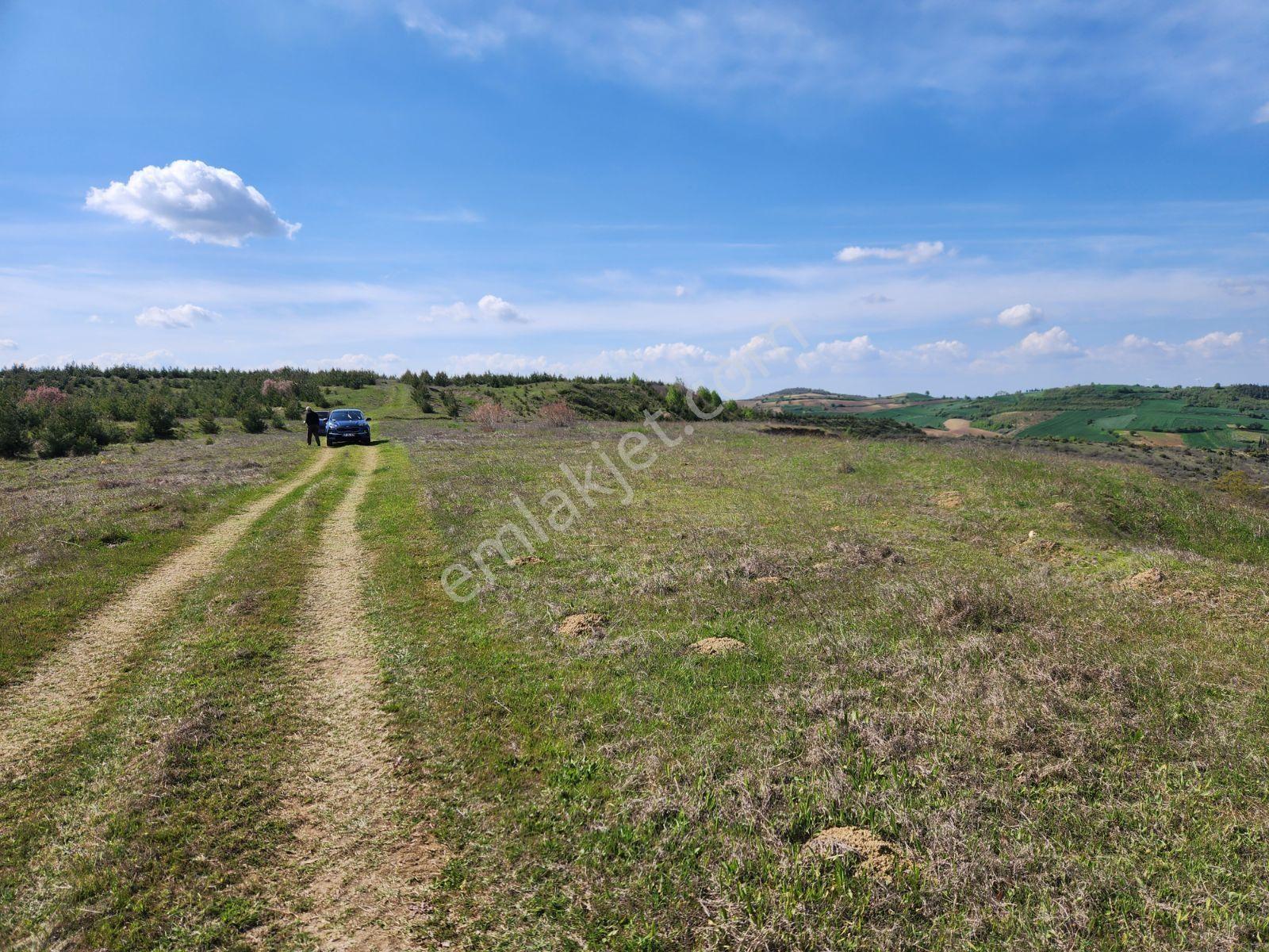 Tekirdağ Malkara Tekke 7003 M2 Köy Ve Göl Manzaralı Tepe Konumda - Görsel 34