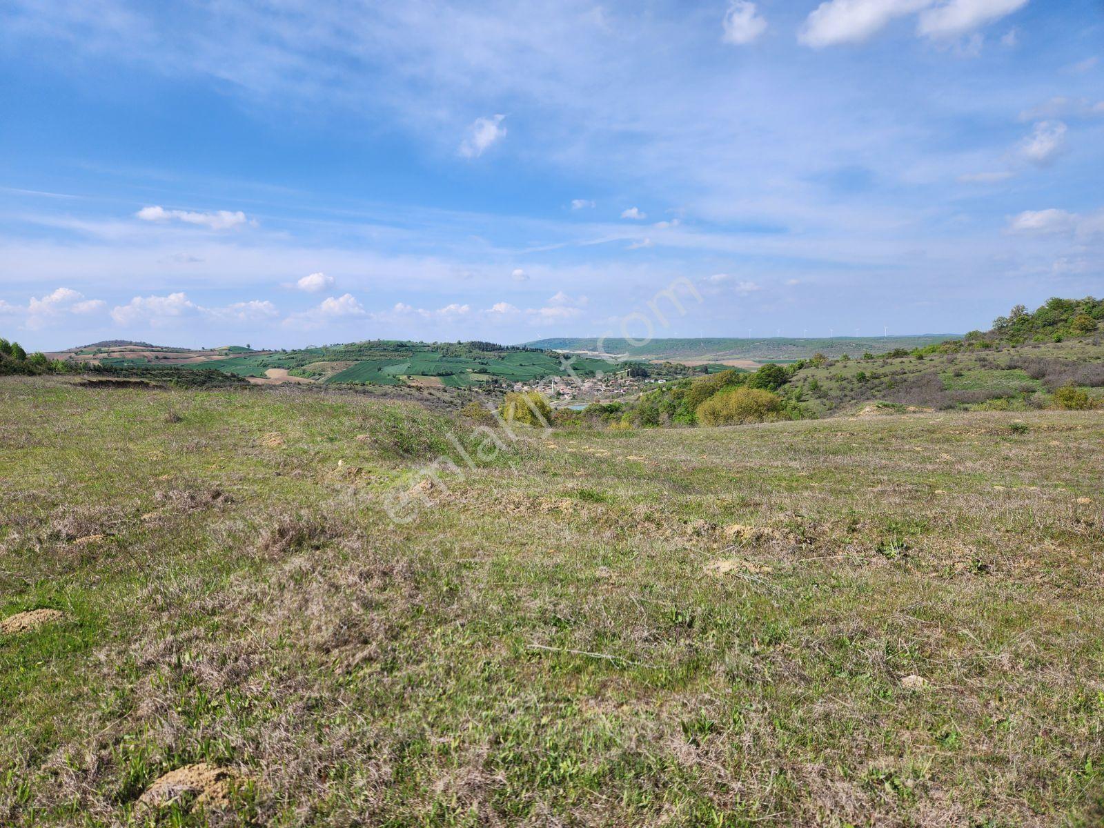 Tekirdağ Malkara Tekke 7003 M2 Köy Ve Göl Manzaralı Tepe Konumda - Görsel 23