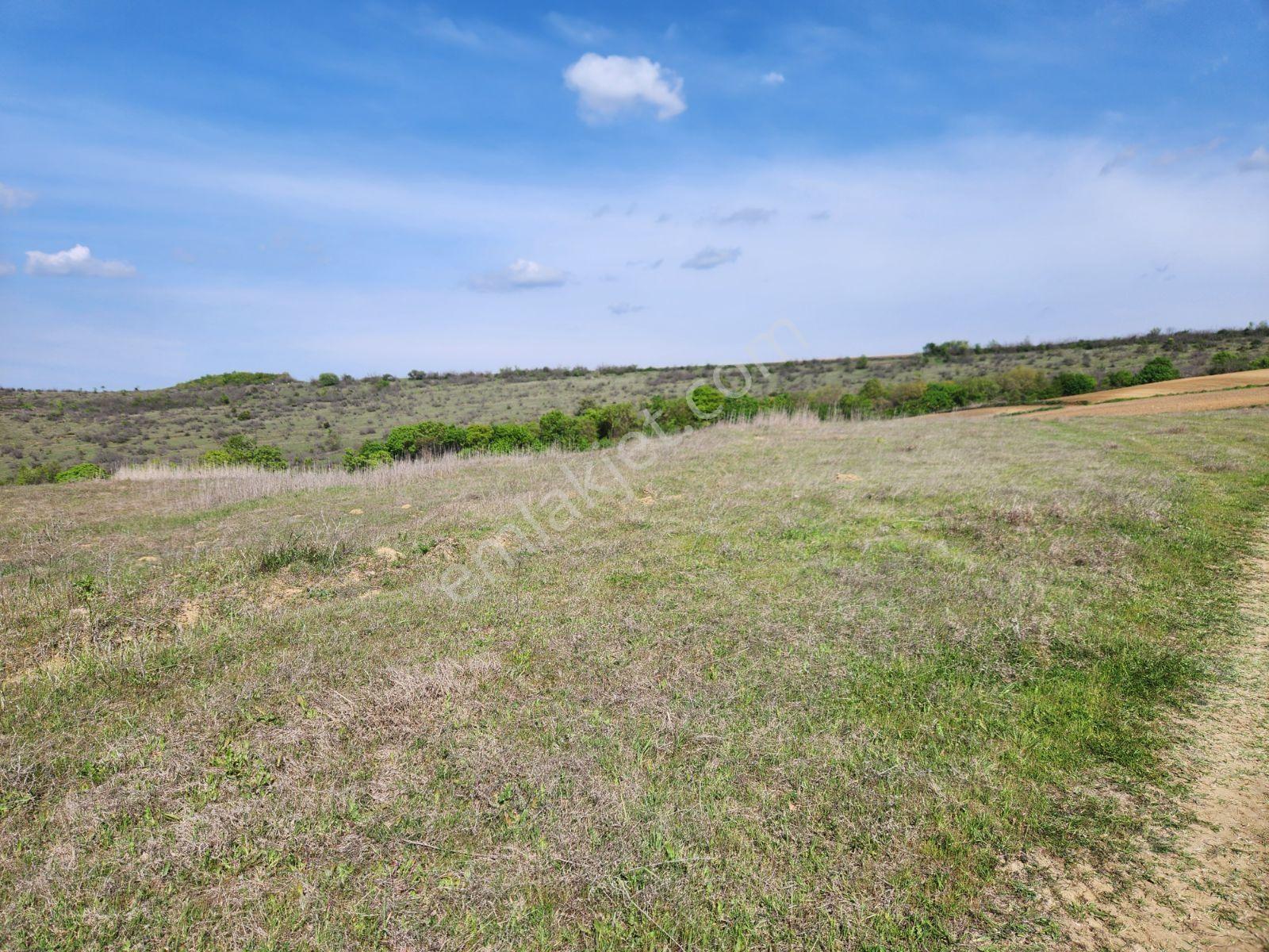 Tekirdağ Malkara Tekke 7003 M2 Köy Ve Göl Manzaralı Tepe Konumda - Görsel 2