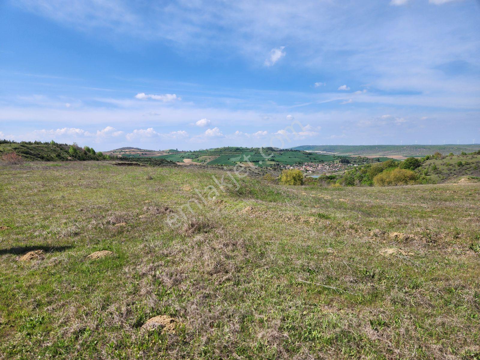 Tekirdağ Malkara Tekke 7003 M2 Köy Ve Göl Manzaralı Tepe Konumda - Görsel 10