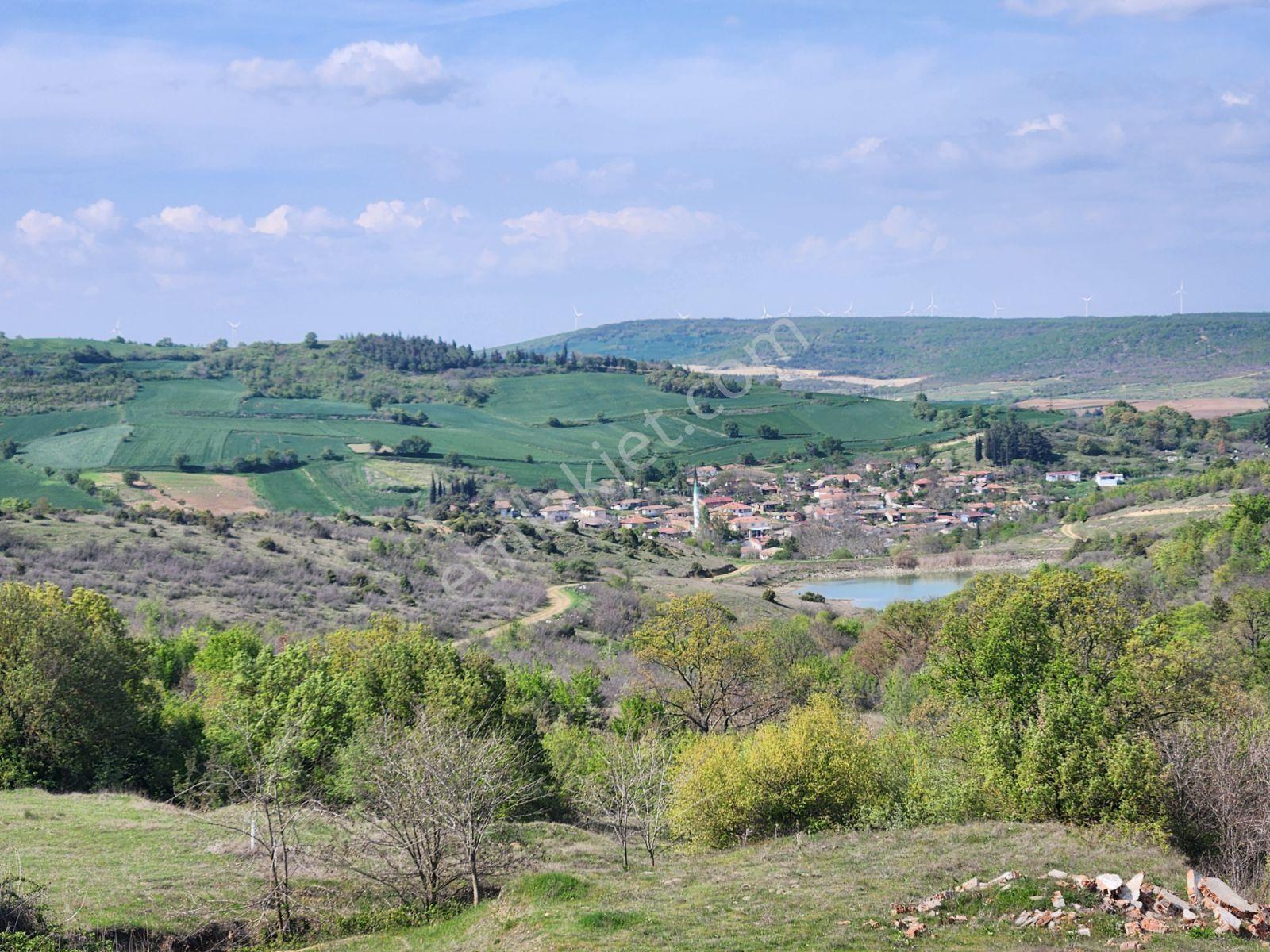Tekirdağ Malkara Tekke 7003 M2 Köy Ve Göl Manzaralı Tepe Konumda - Görsel 30