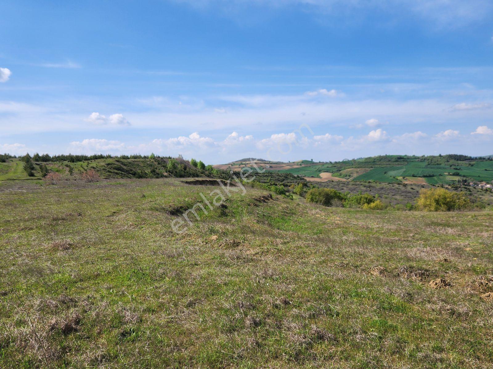 Tekirdağ Malkara Tekke 7003 M2 Köy Ve Göl Manzaralı Tepe Konumda - Görsel 22