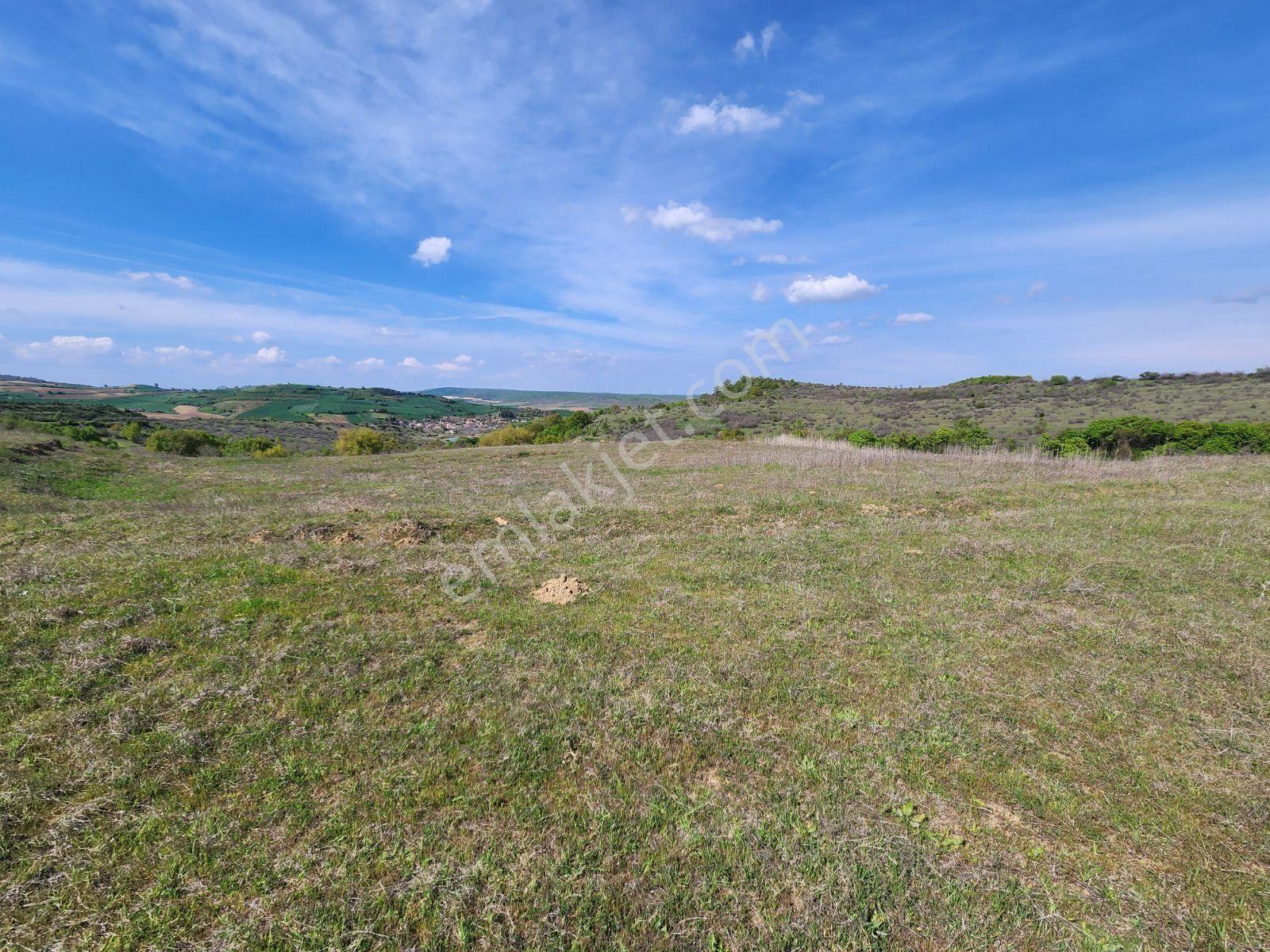 Tekirdağ Malkara Tekke 7003 M2 Köy Ve Göl Manzaralı Tepe Konumda - Görsel 11