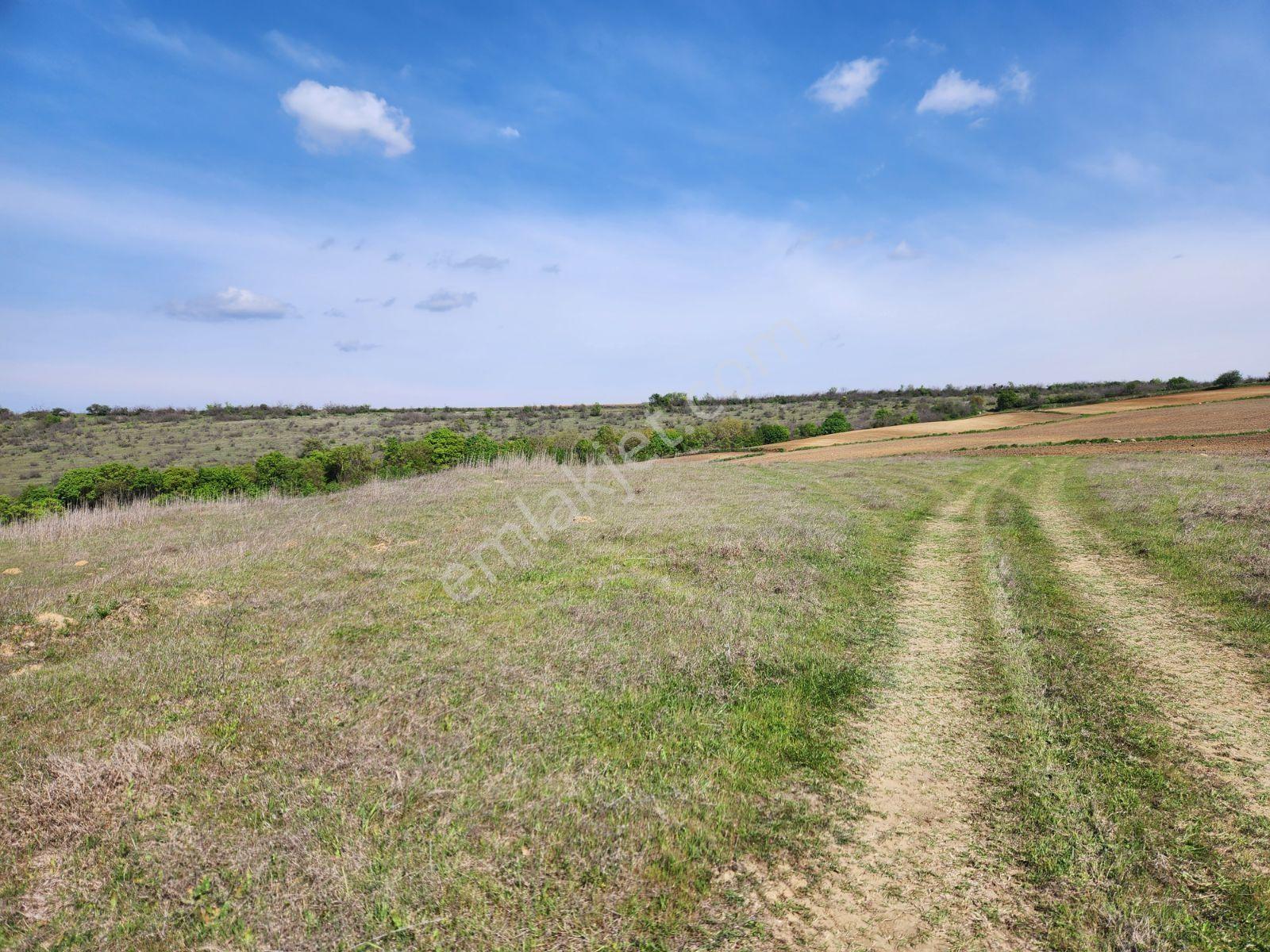 Tekirdağ Malkara Tekke 7003 M2 Köy Ve Göl Manzaralı Tepe Konumda - Görsel 25