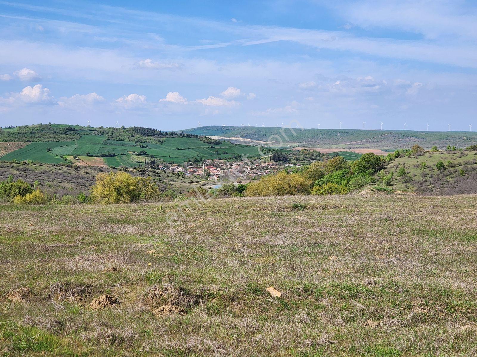 Tekirdağ Malkara Tekke 7003 M2 Köy Ve Göl Manzaralı Tepe Konumda - Görsel 17