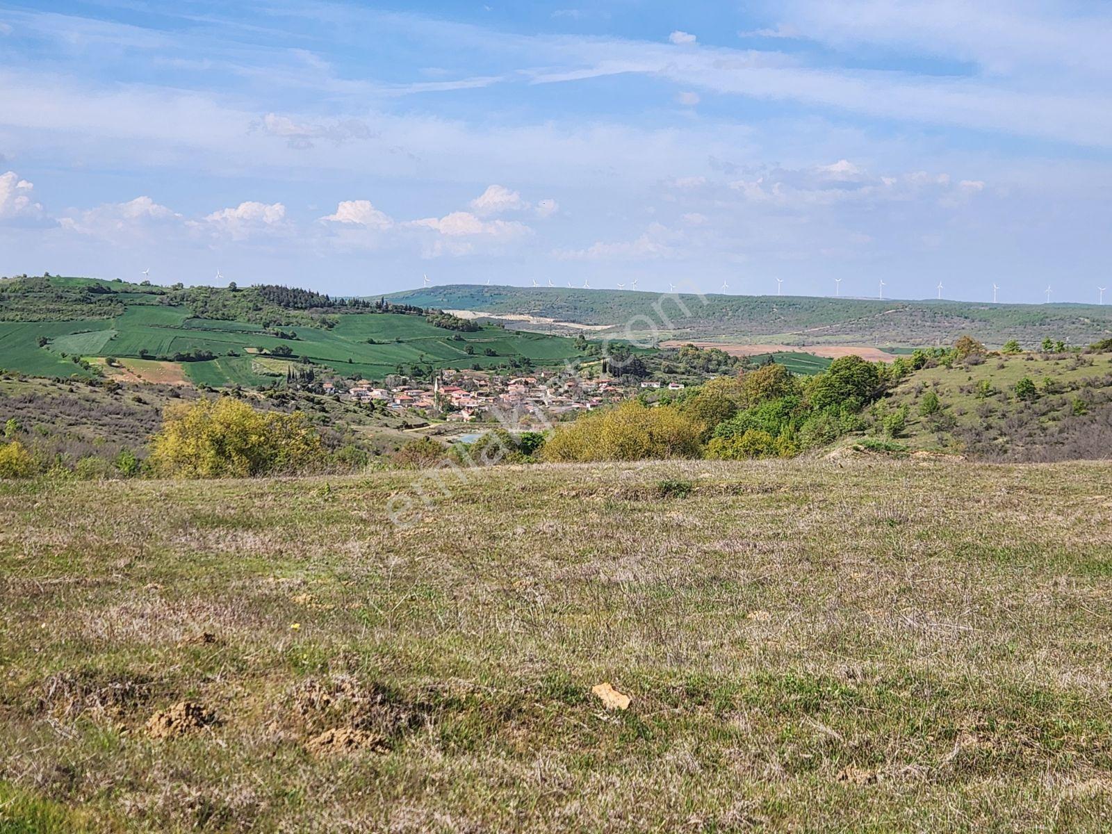 Tekirdağ Malkara Tekke 7003 M2 Köy Ve Göl Manzaralı Tepe Konumda - Görsel 19