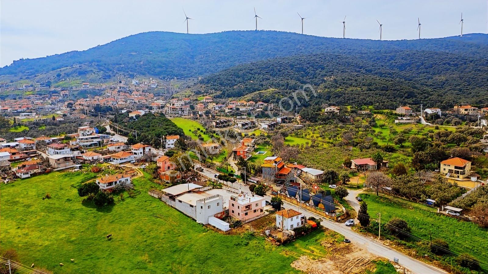 Foça Kozbeyli Köy Merkezinde Yol Üzeri Satılık Tarla - Görsel 2