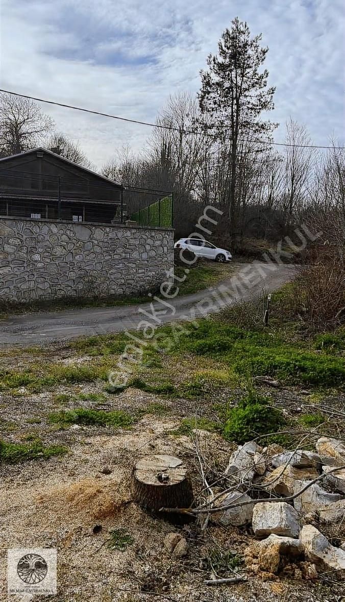 Şile Göçe'de Yola Cephe 743m² Satılık Fırsat Arazisi - Görsel 11