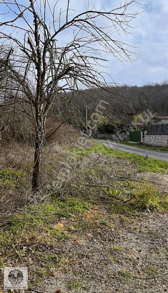 Şile Göçe'de Yola Cephe 743m² Satılık Fırsat Arazisi - Görsel 2