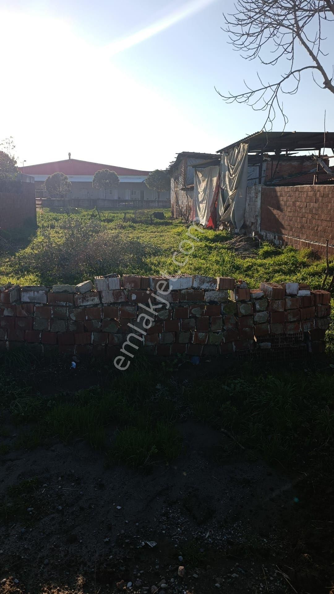 Satılık Ev Ve Besihanesi - Görsel 2