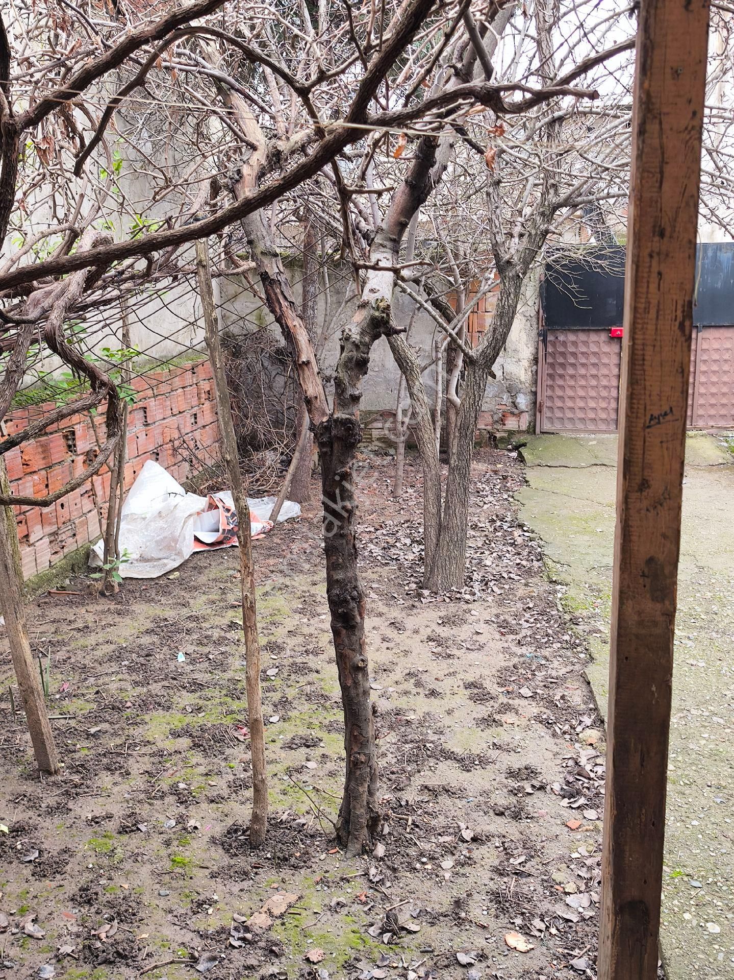 Mustakil Bahçeli Ev - Görsel 17