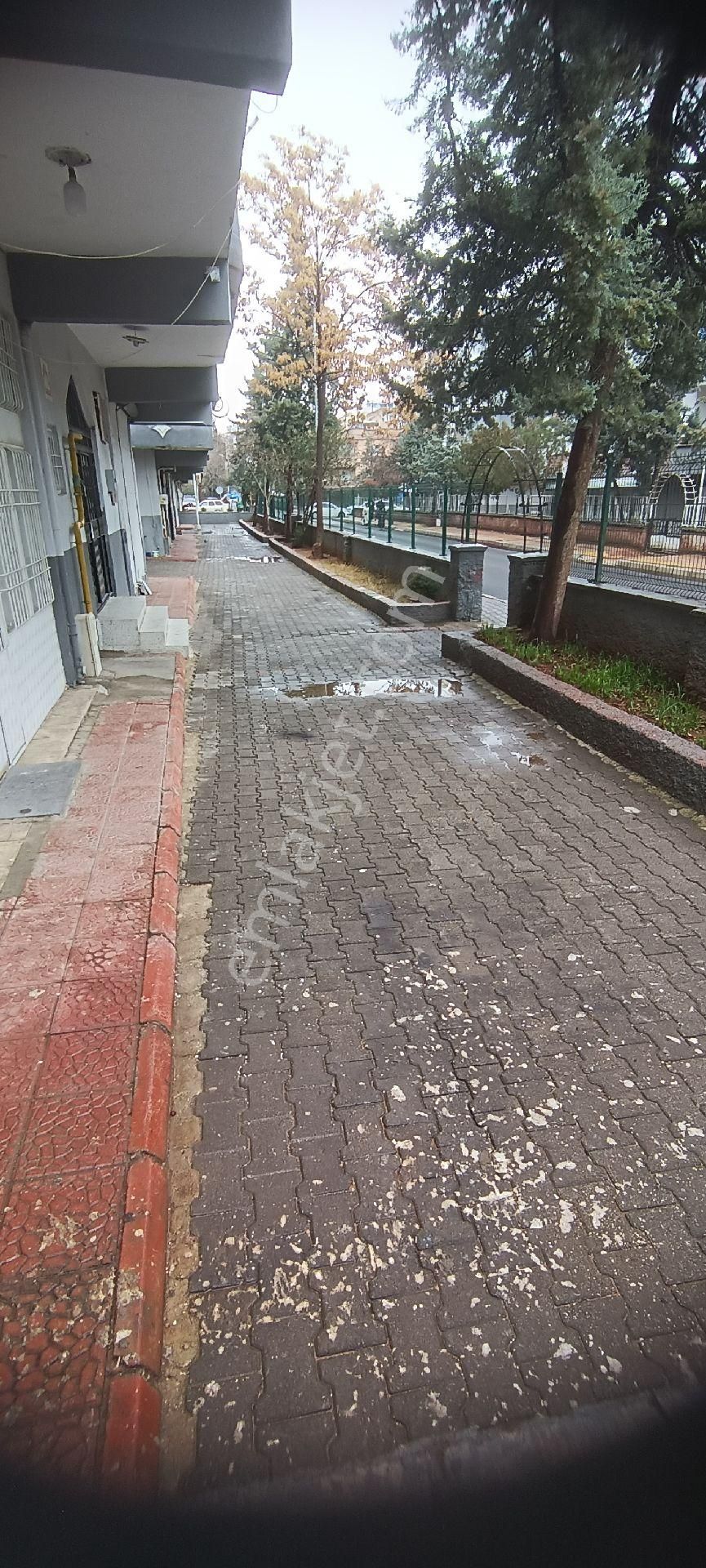 Asil Evim Emlak'tan Satılık 3+1 Göbek Kat Daire - Görsel 5