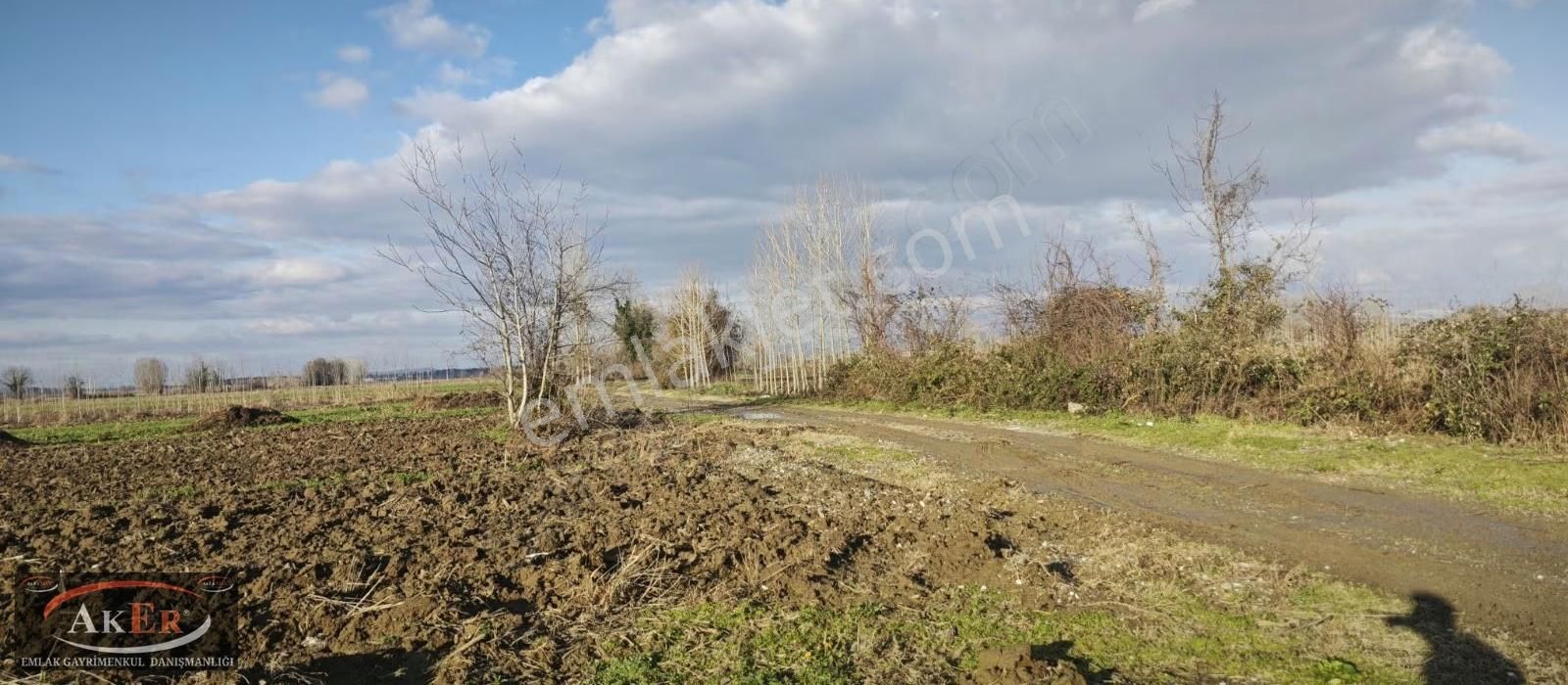 Üç Dônüm Müstakil Tapu Evlere Yakın Konumda - Görsel 7