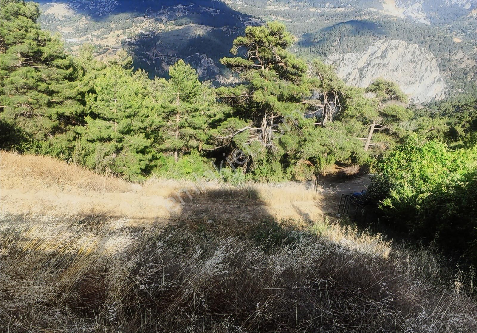 Konyaaltı Yarbaşçandır'da Satılık Tarla