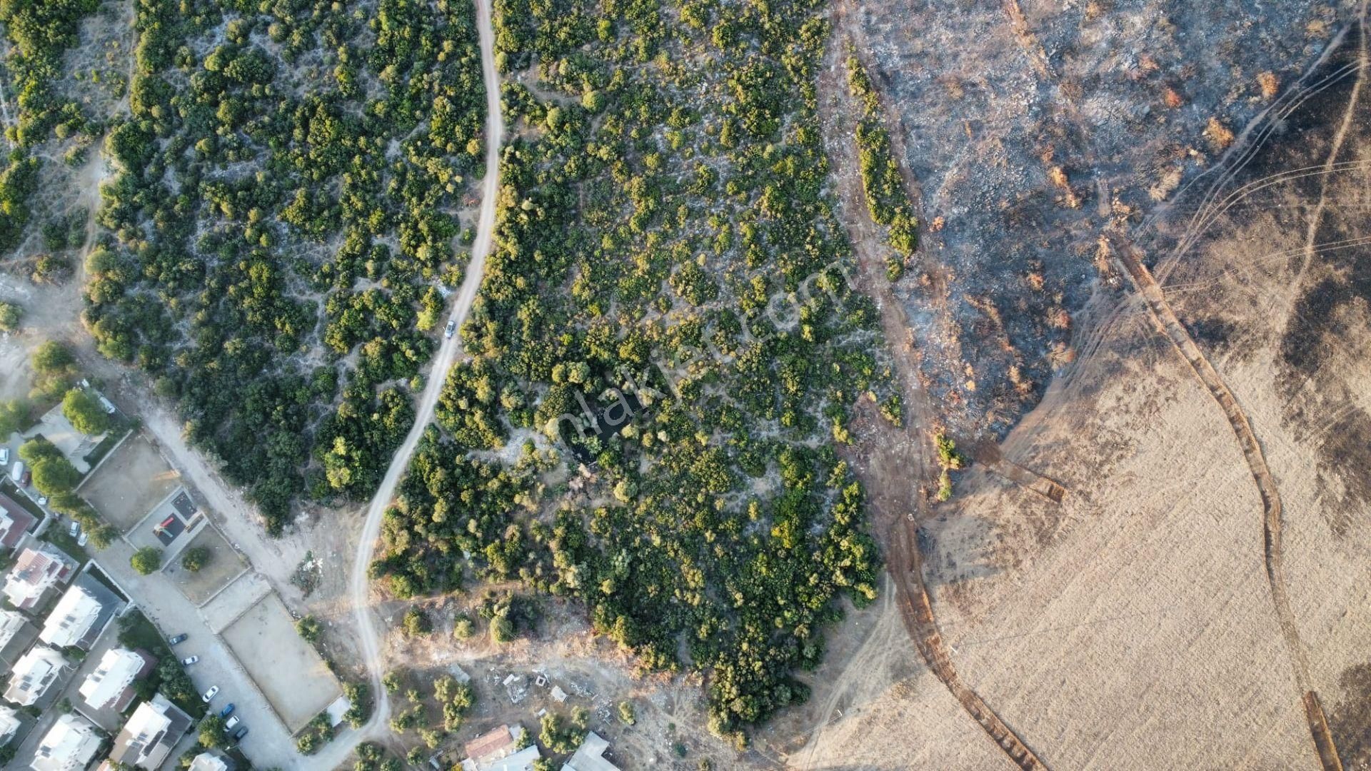 Aydın Didim De İmar Sınırında Denize 1 Km Mesafede Satılık Tarla - Görsel 9