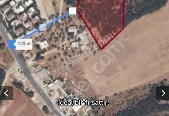 Aydın Didim De İmar Sınırında Denize 1 Km Mesafede Satılık Tarla - Görsel 4