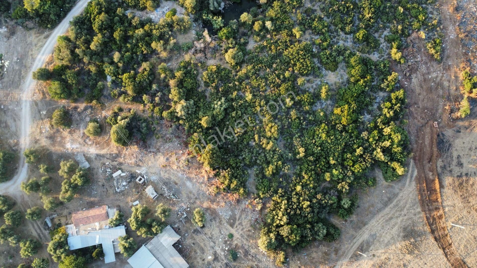 Aydın Didim De İmar Sınırında Denize 1 Km Mesafede Satılık Tarla - Görsel 13