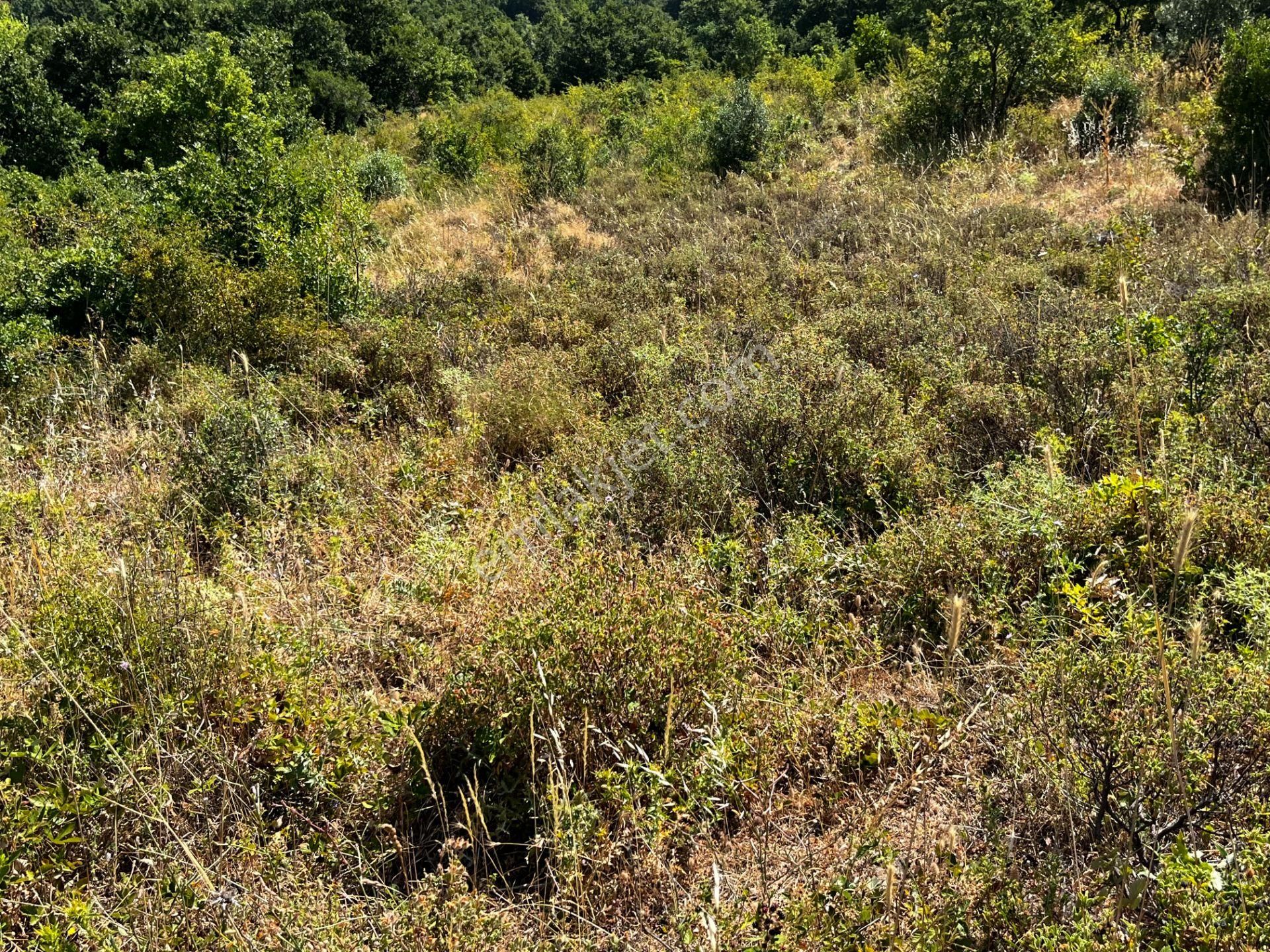 C21 Cius ; K.kumla Mah.de Deniz Manzaralı Satılık Tarla - Görsel 14