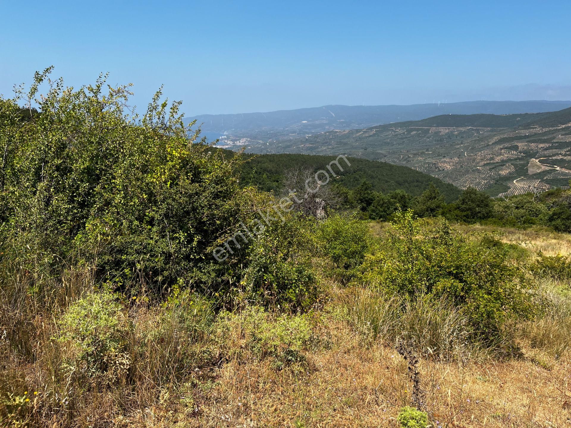 C21 Cius ; K.kumla Mah.de Deniz Manzaralı Satılık Tarla - Görsel 19