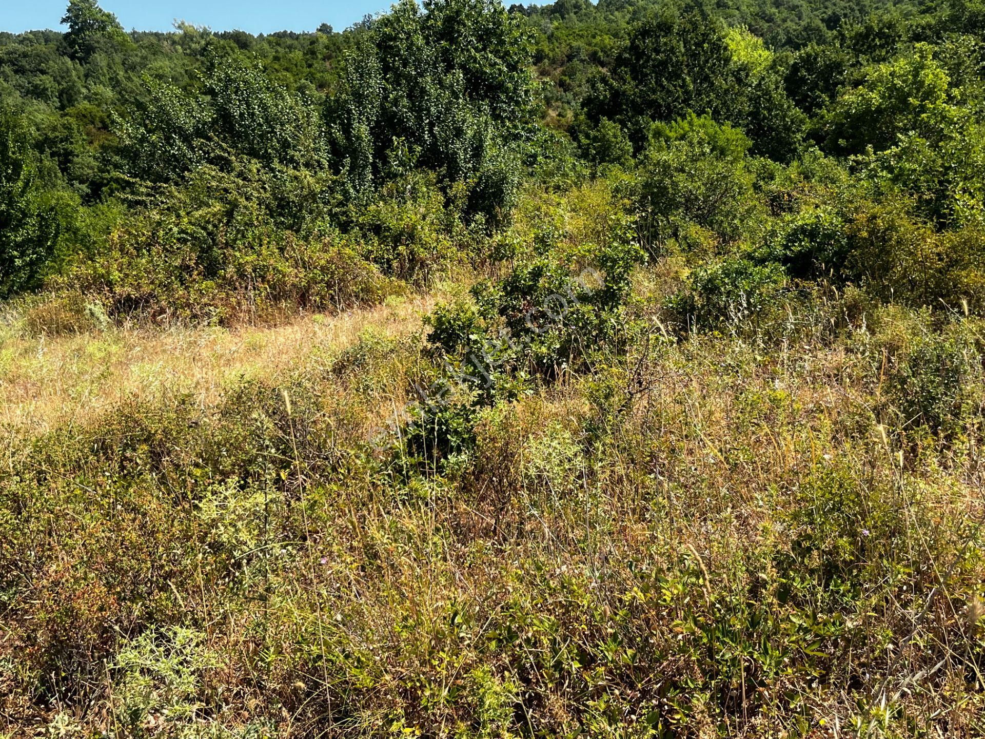 C21 Cius ; K.kumla Mah.de Deniz Manzaralı Satılık Tarla - Görsel 15