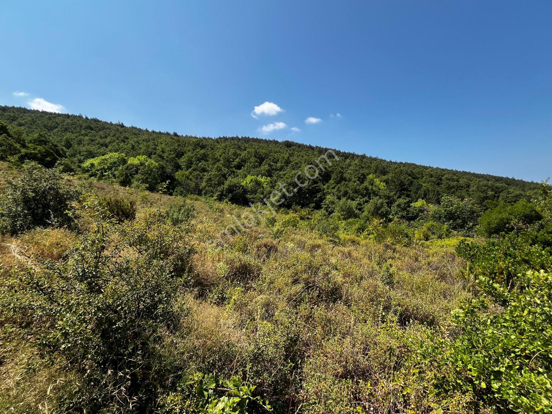 C21 Cius ; K.kumla Mah.de Deniz Manzaralı Satılık Tarla - Görsel 8