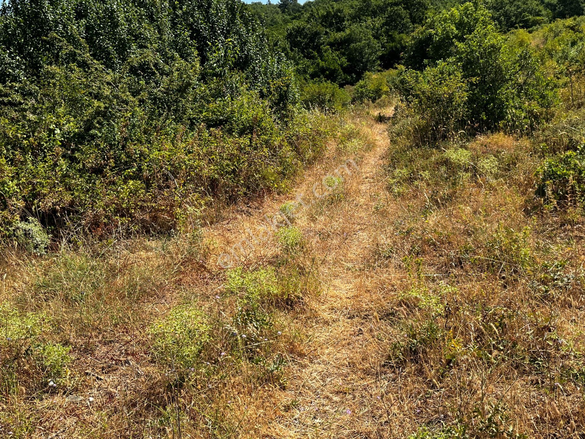 C21 Cius ; K.kumla Mah.de Deniz Manzaralı Satılık Tarla - Görsel 18