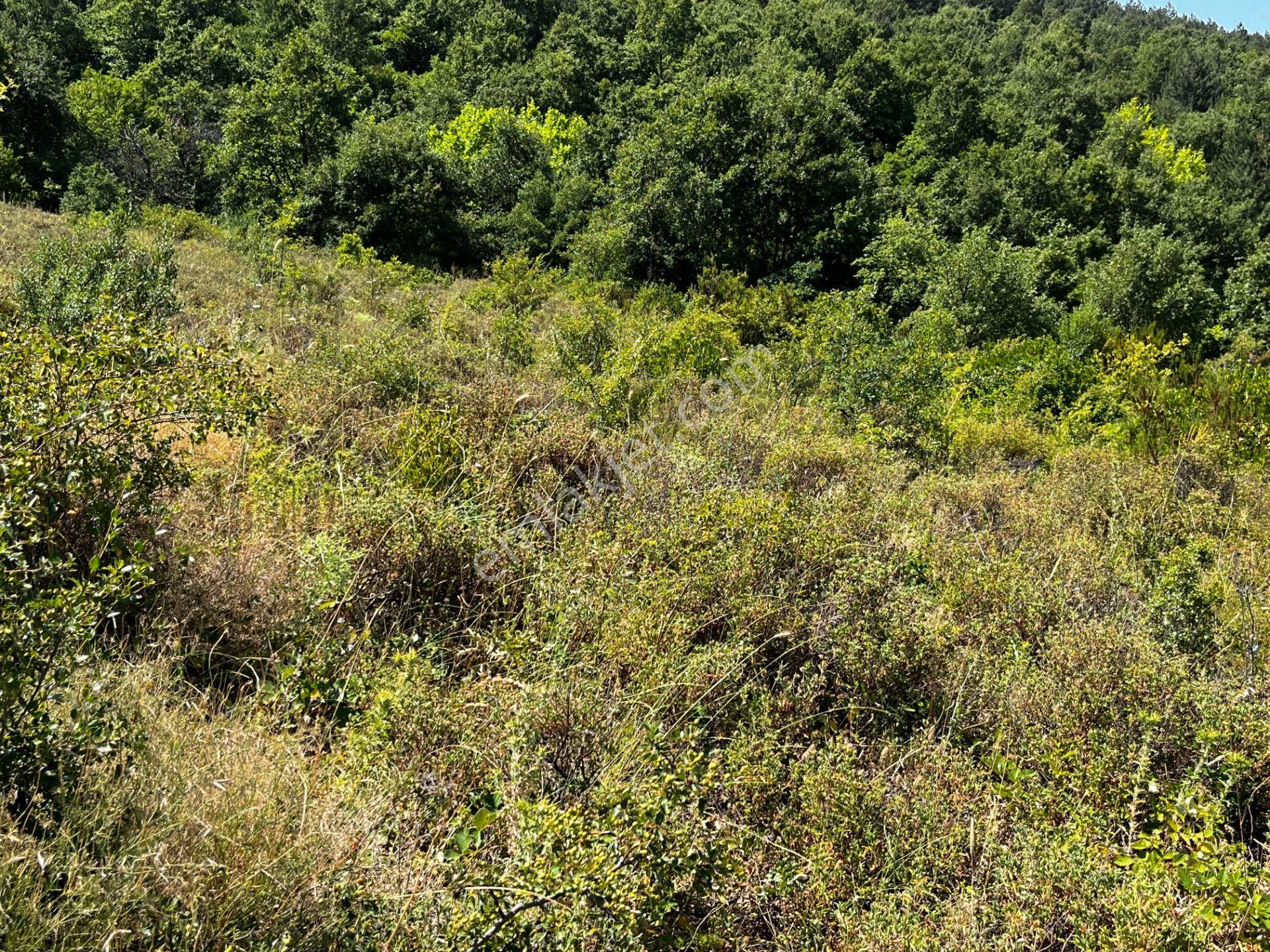 C21 Cius ; K.kumla Mah.de Deniz Manzaralı Satılık Tarla - Görsel 12